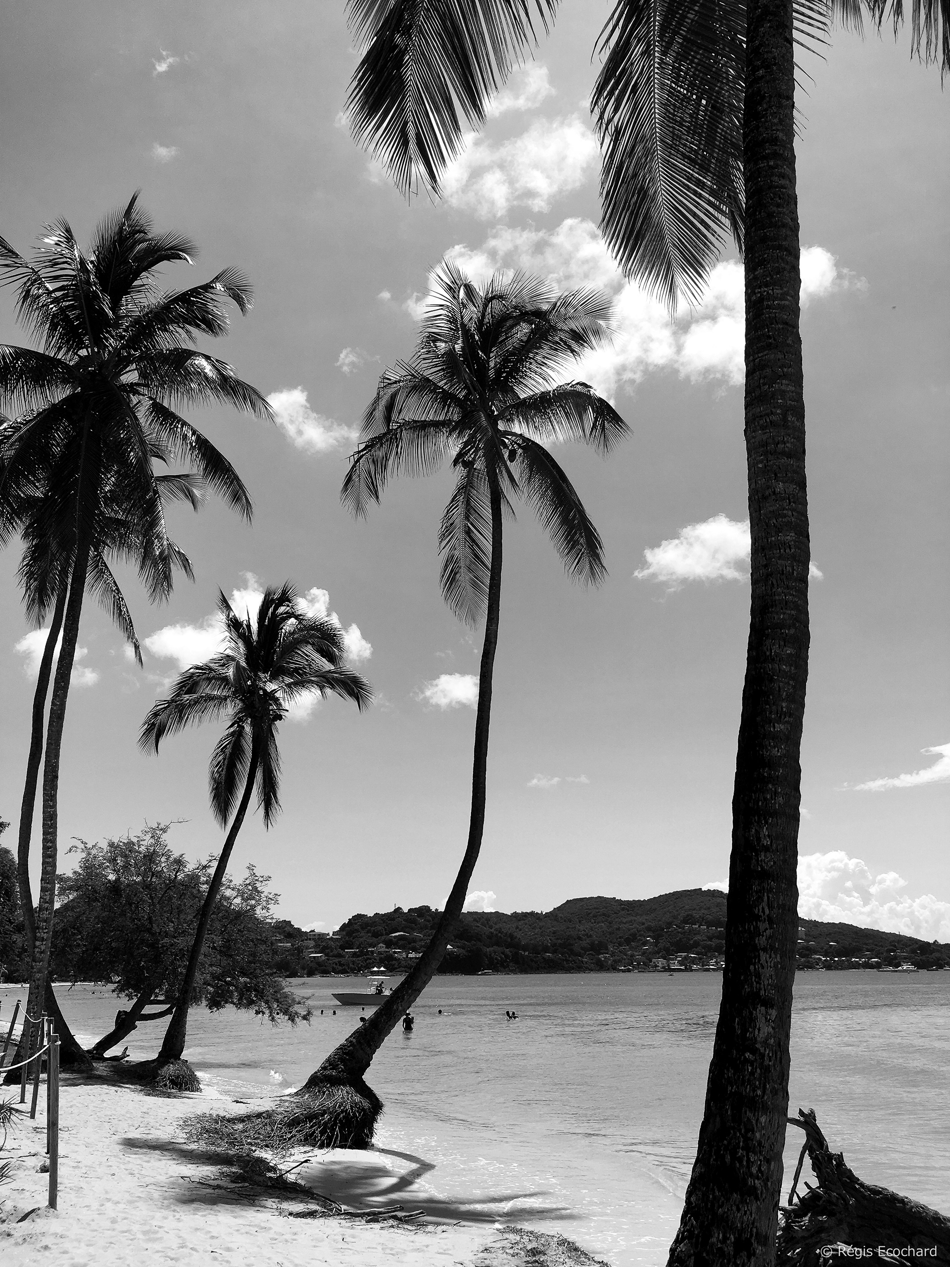 Club Med'
