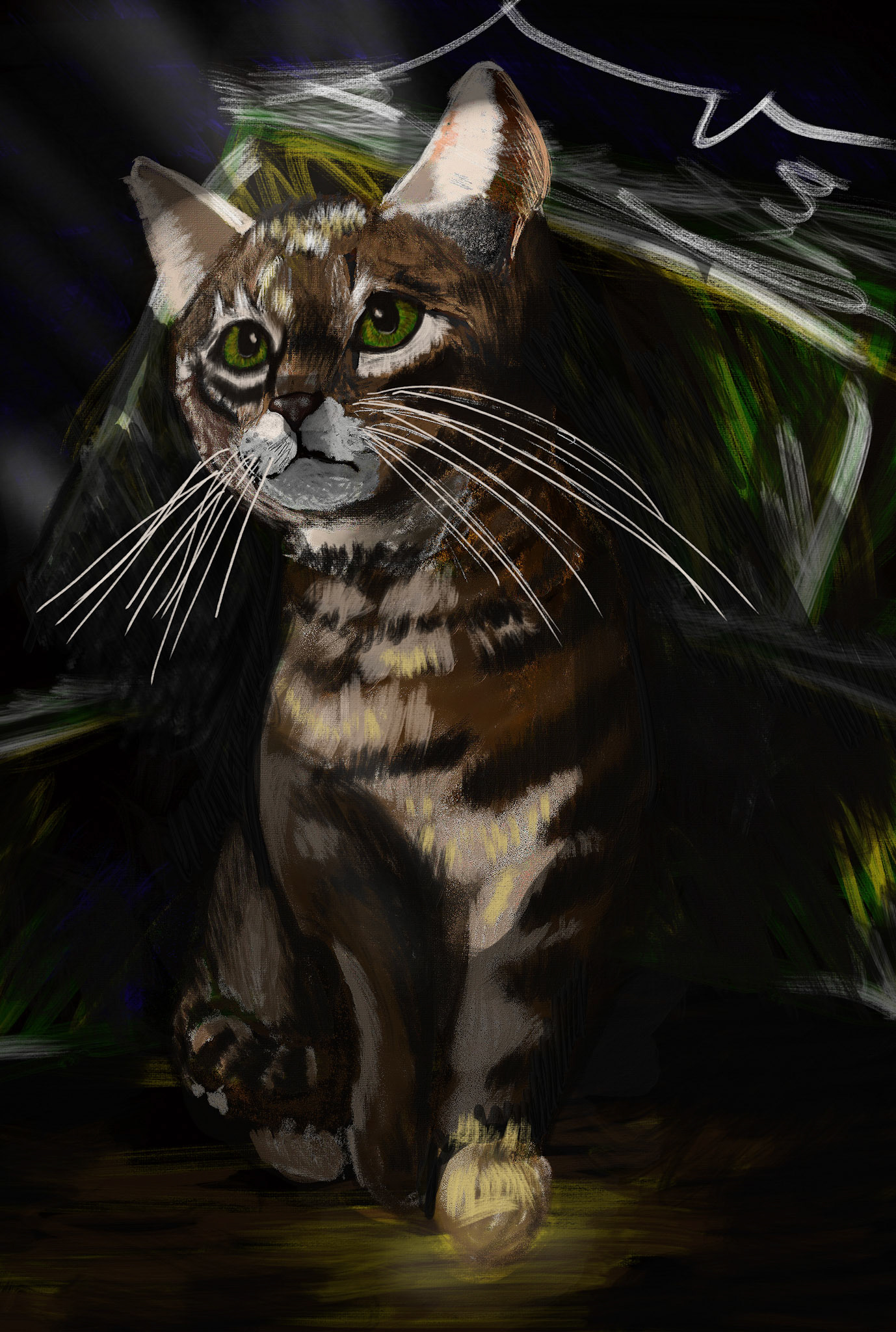 Porthos - street cat