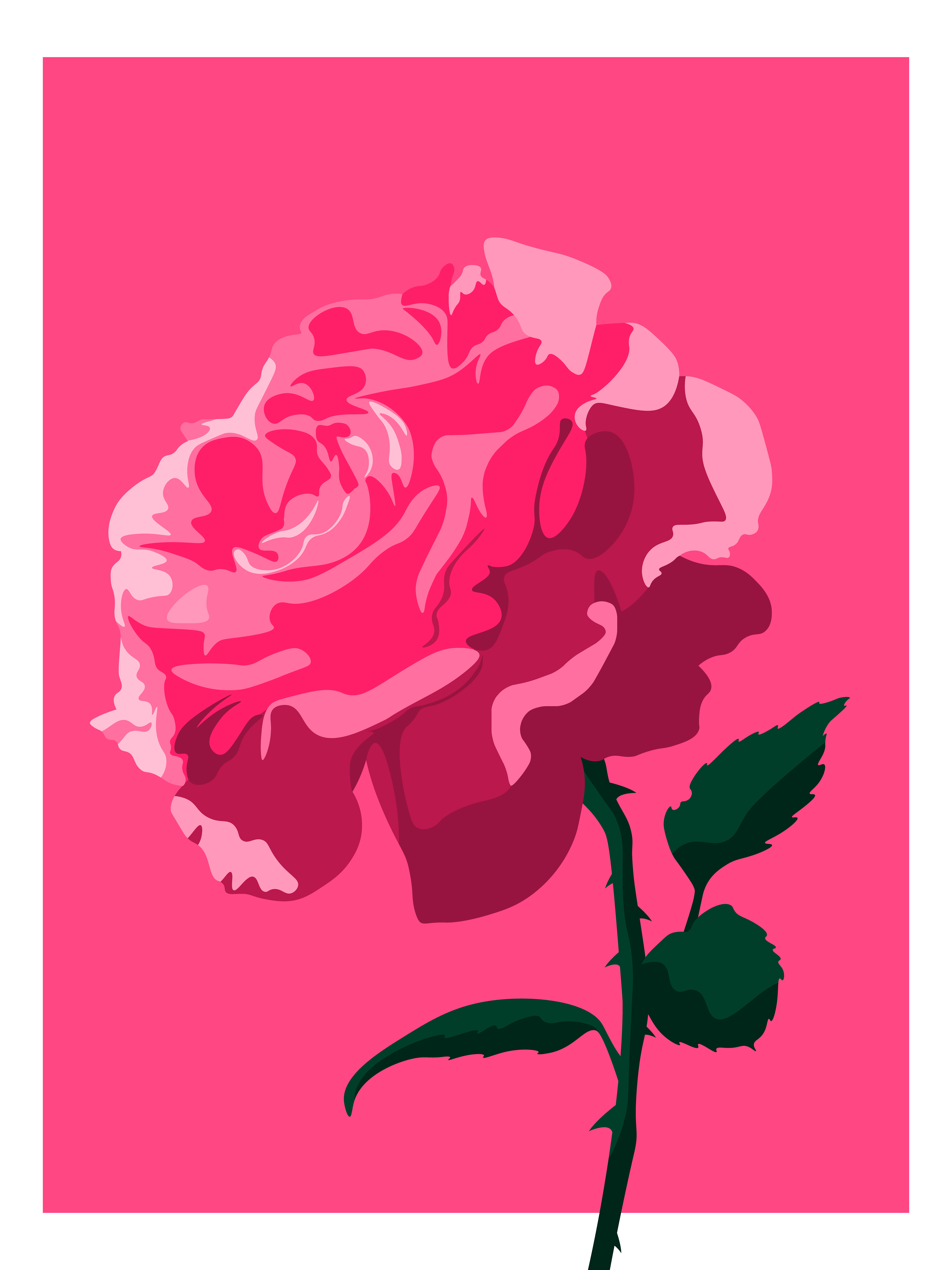 Rose, 2023, made on Adobe Illustrator.