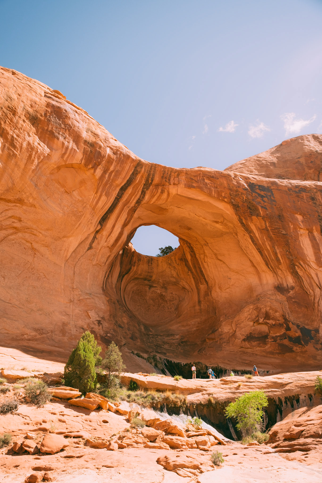Pothole Arch, 2024