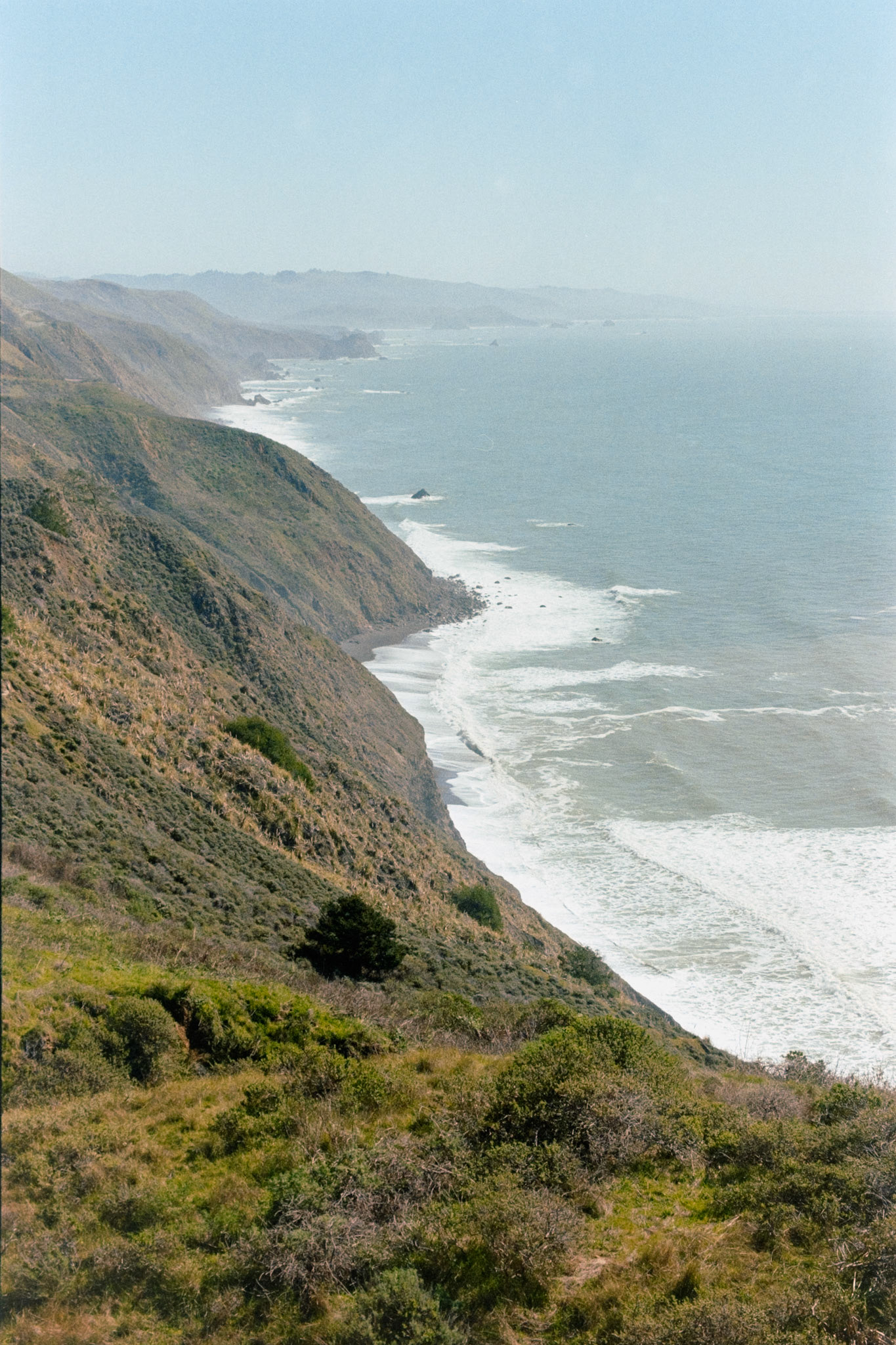 Coastline, 2025