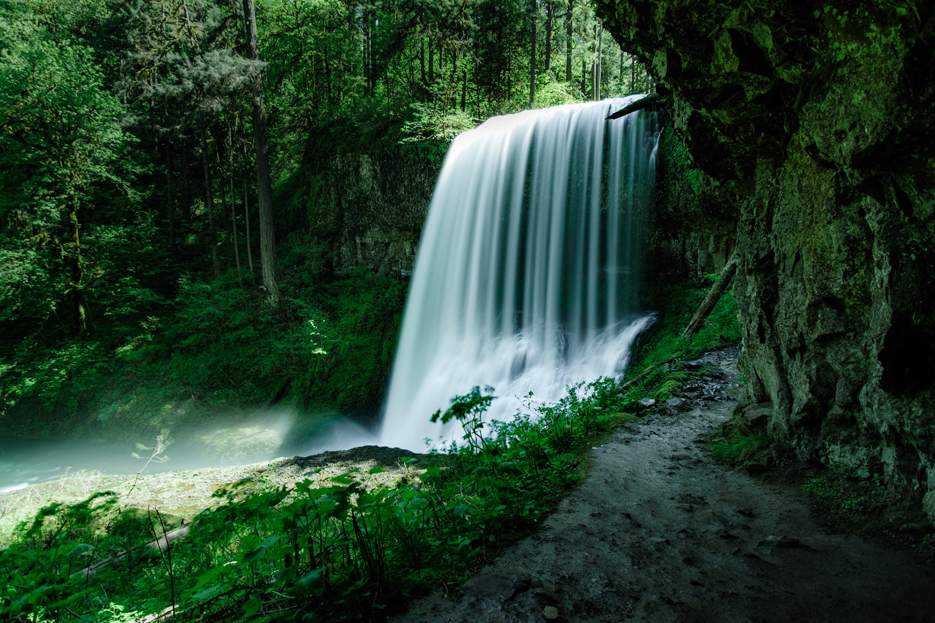 Silver Falls, 2024