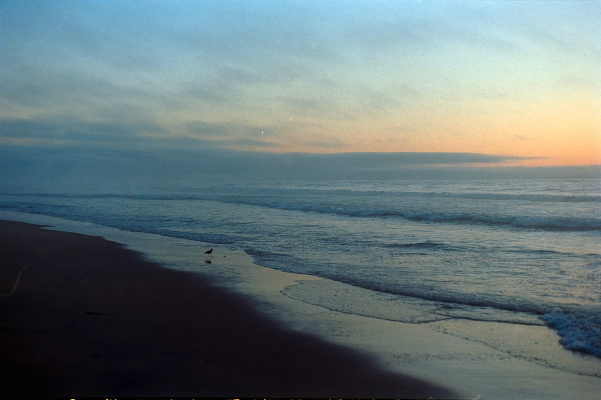 Imperial Beach, 2025, set of 5
