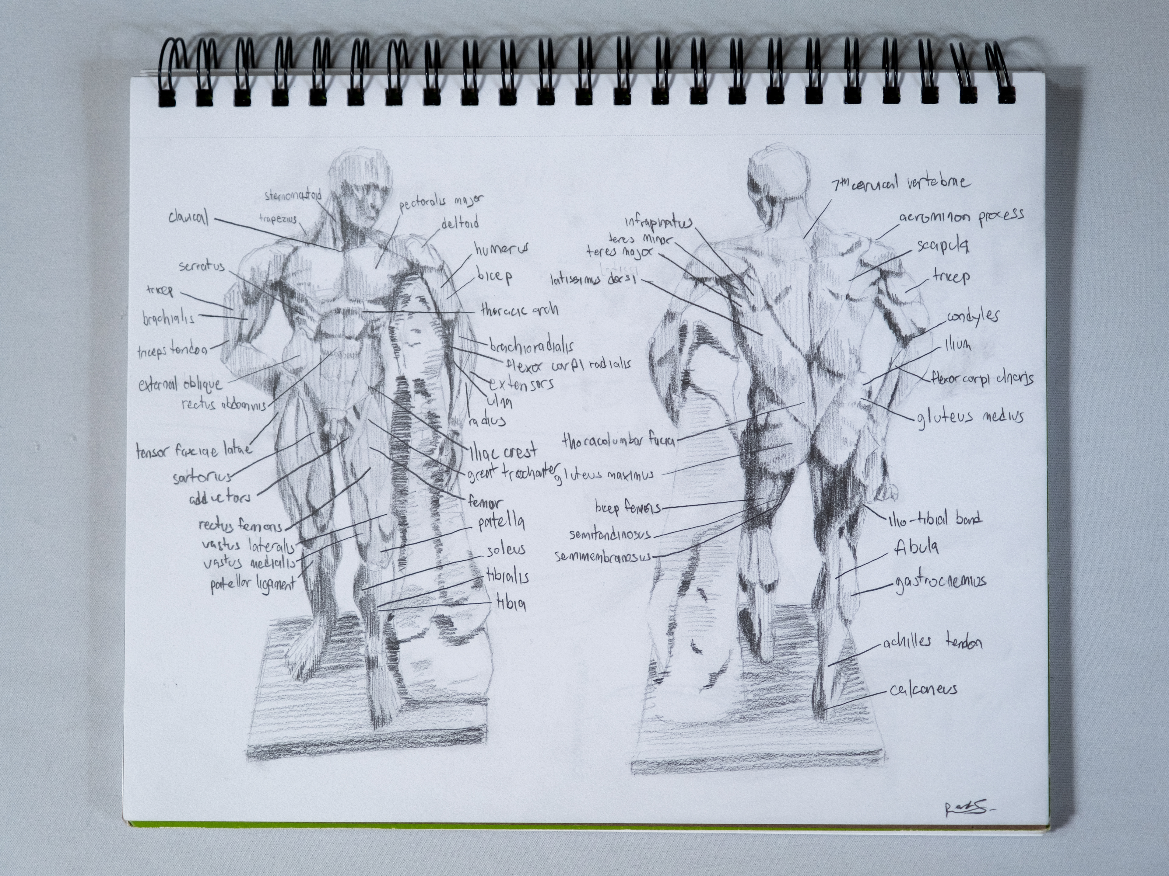 Developing a style, and Studying the Human Form, 2023. Graphite. Drawing 2, learning the human form.
