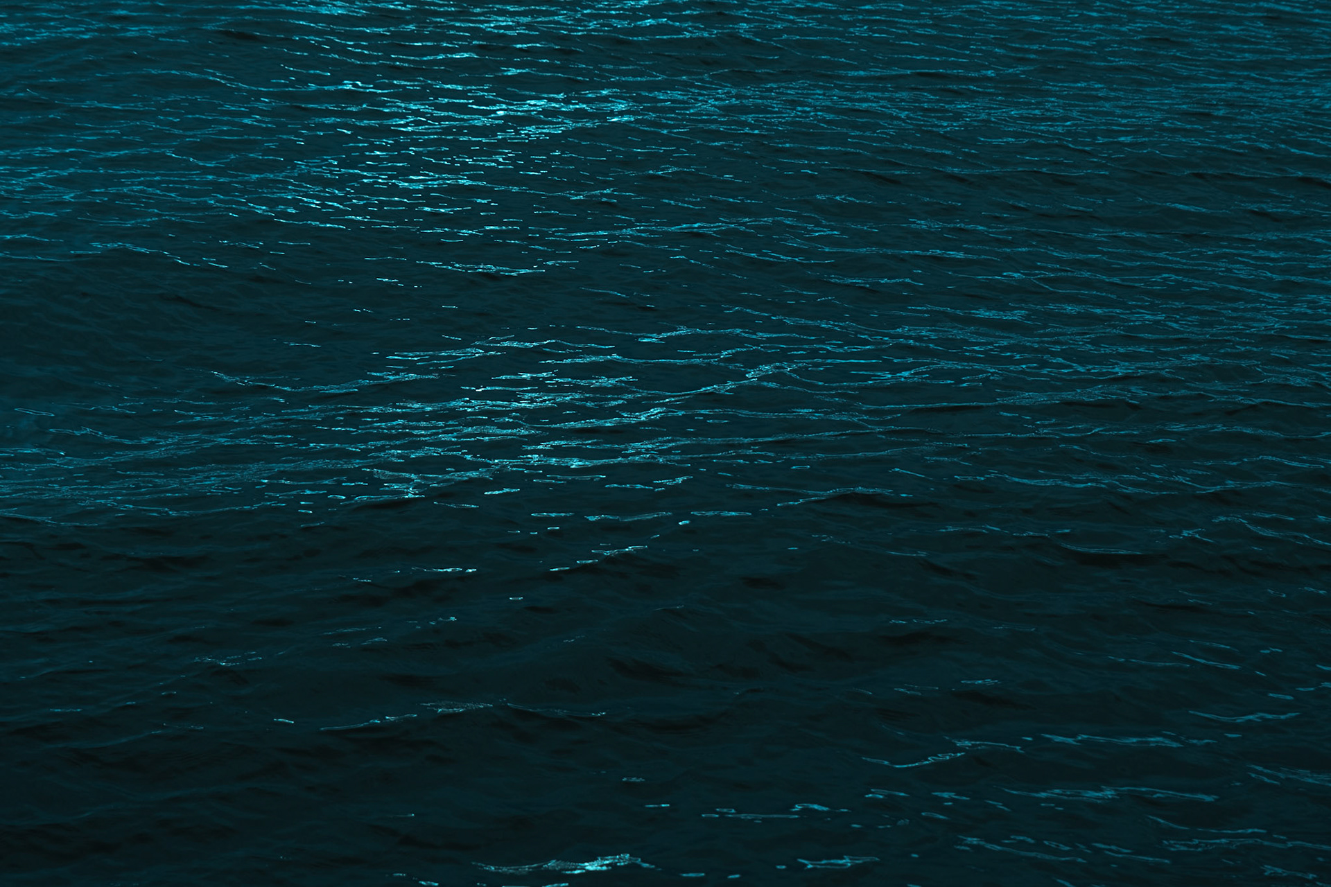 My Obsession With Water, 2024