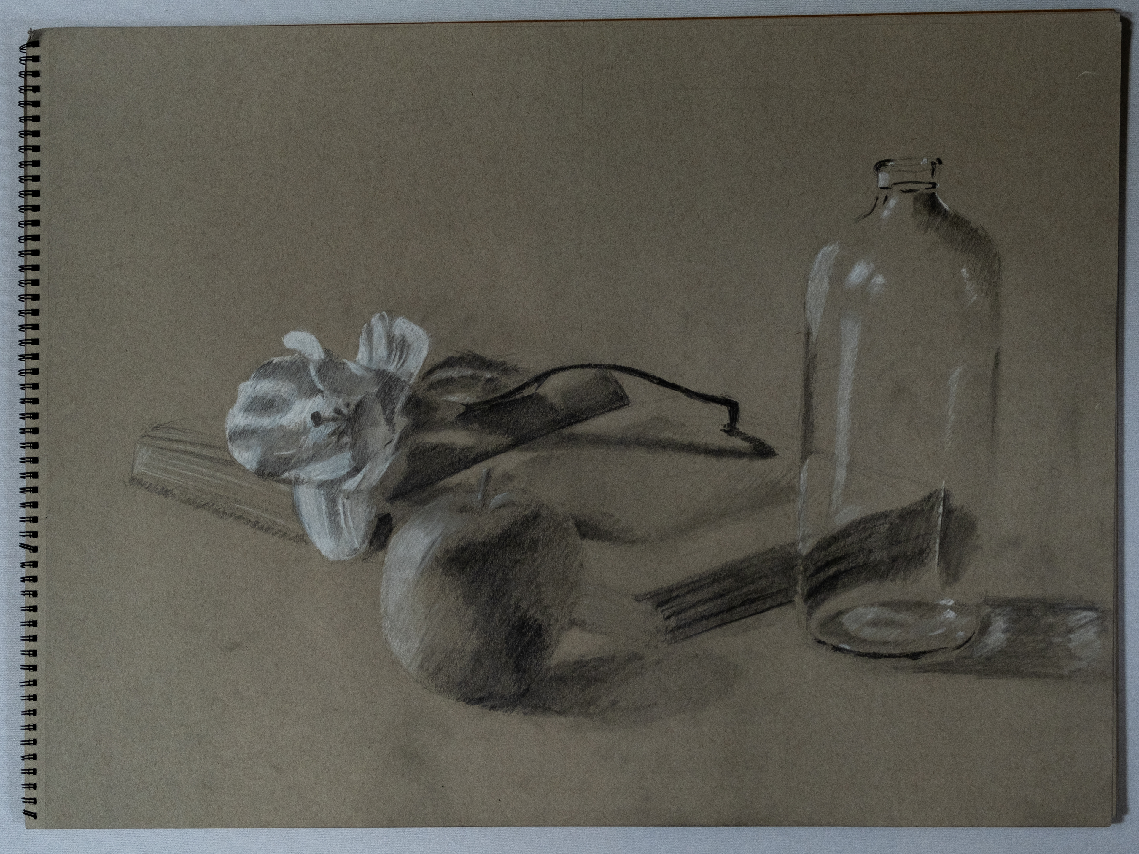 Still Life, 2023, Graphite and white charcoal. Introductory drawing. Set of 3