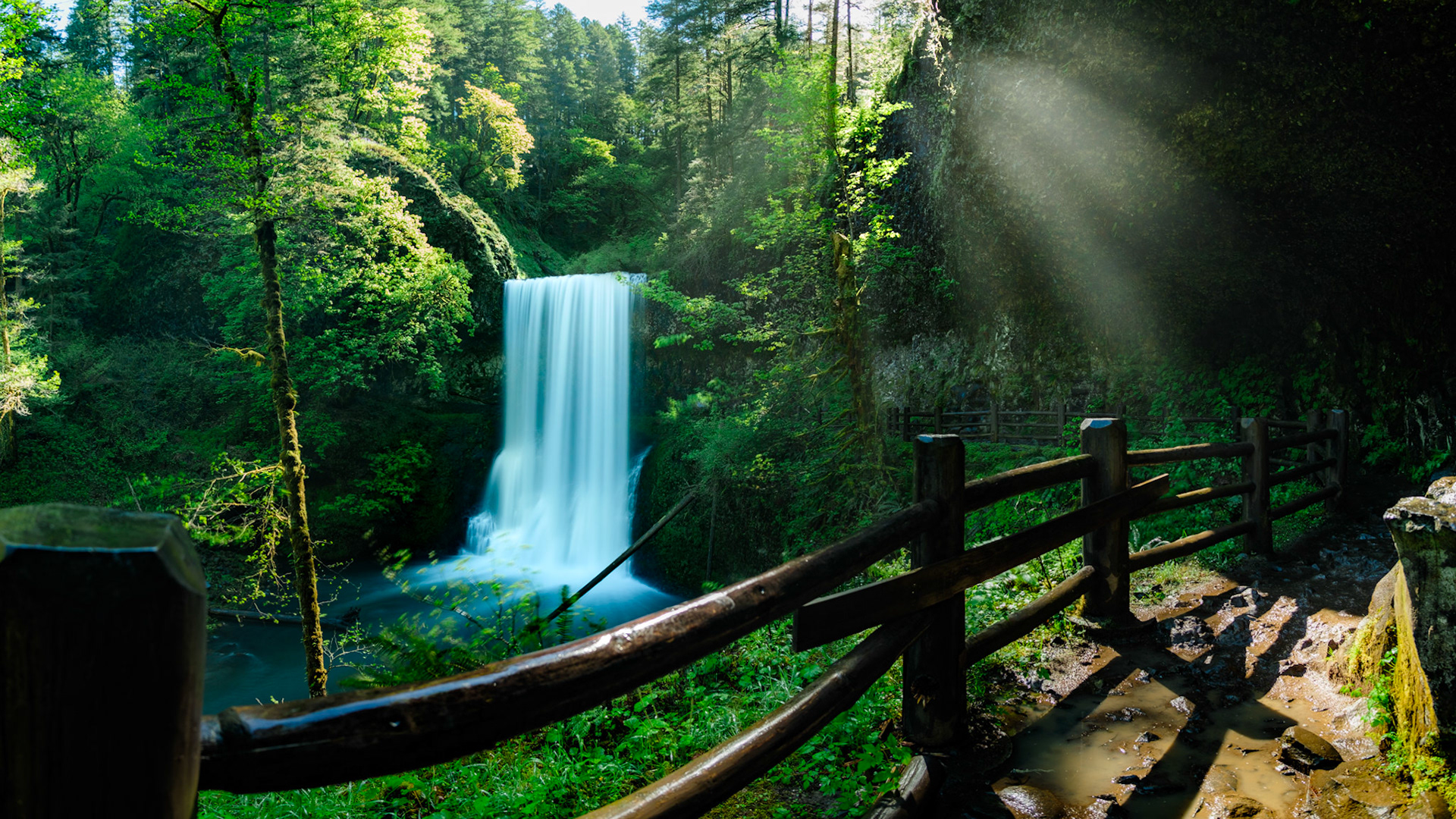 Silver Falls, 2024