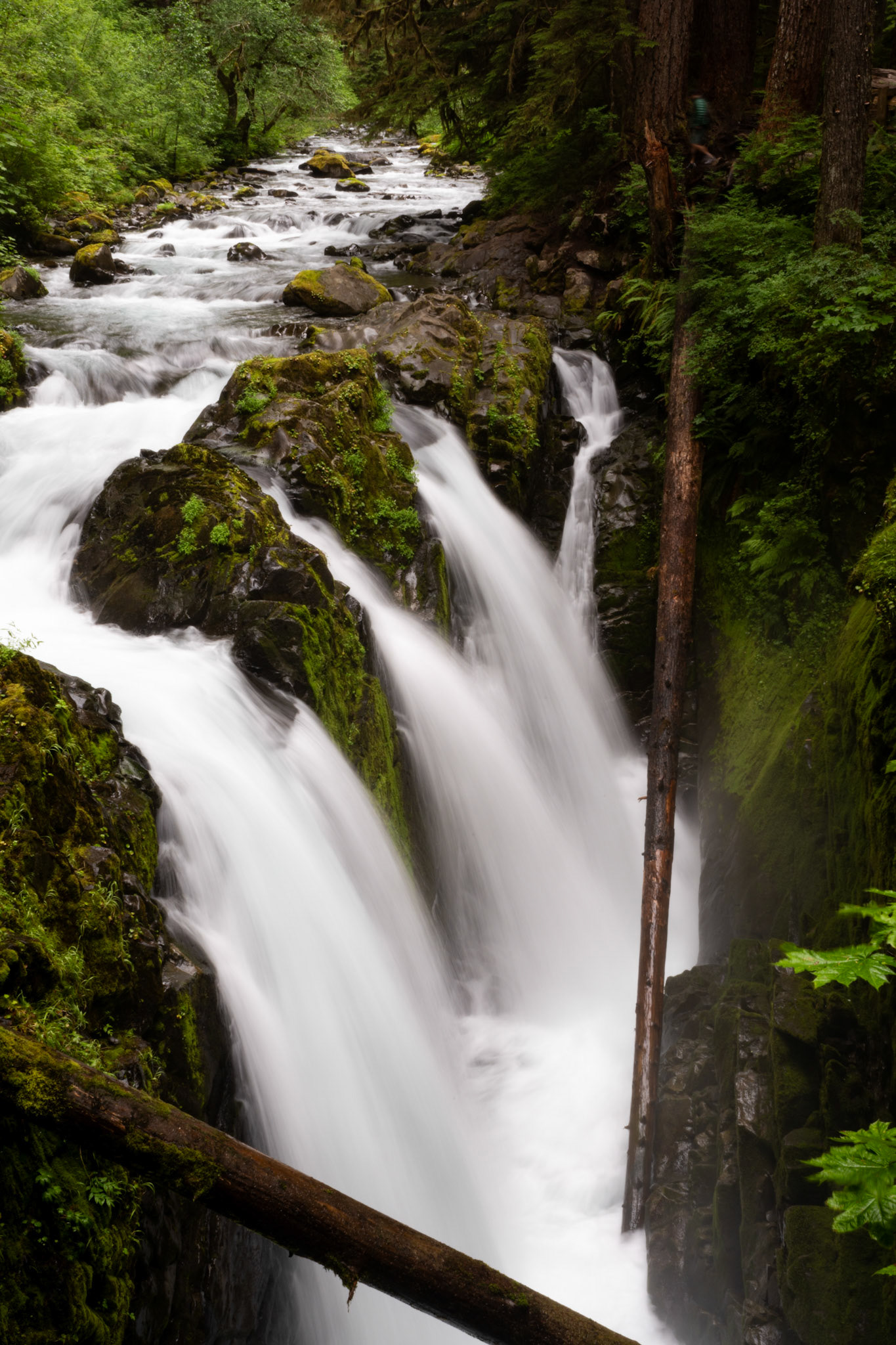 Sul Duc Falls, 2024