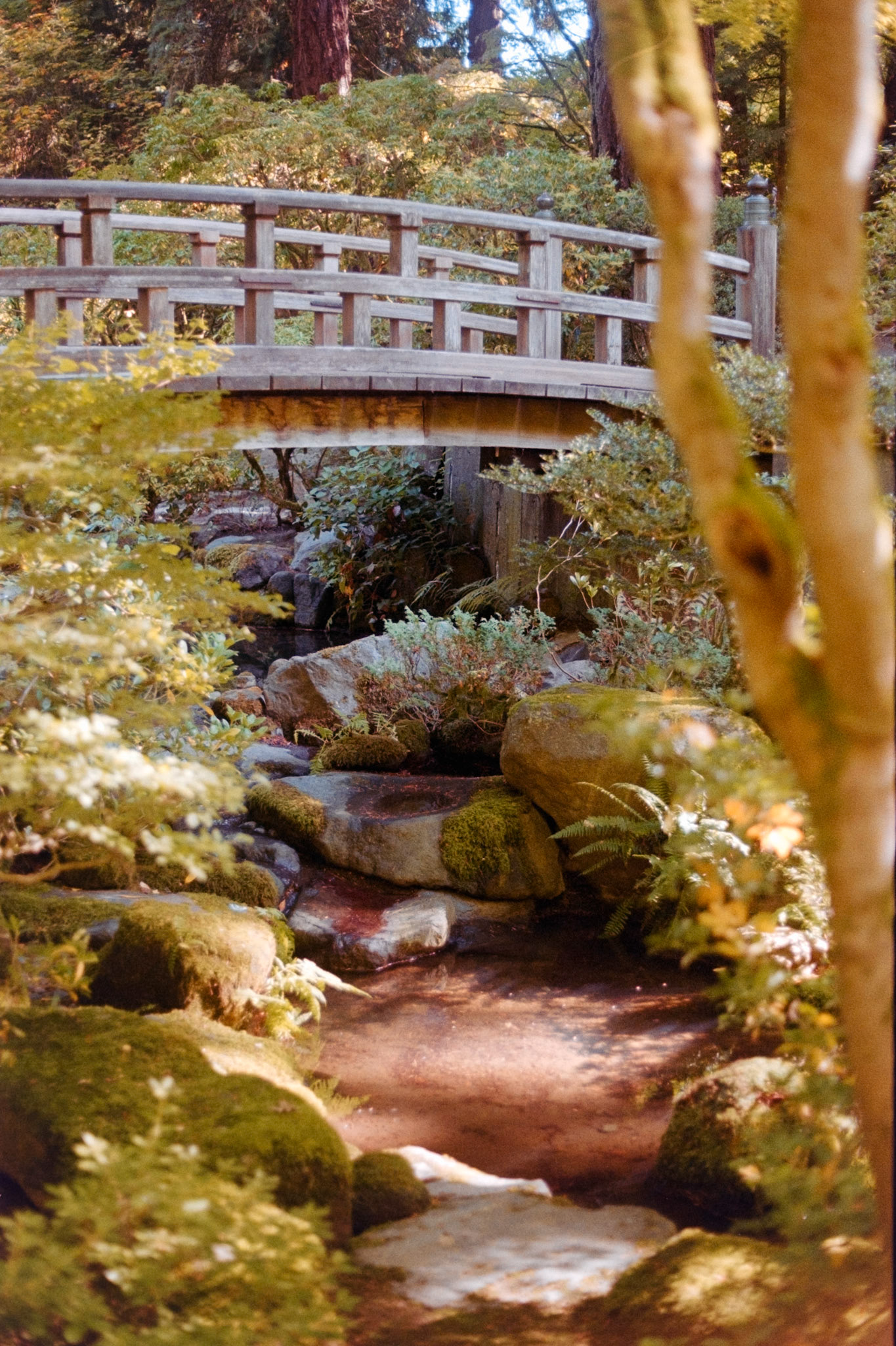 Garden, 2024, set of 2