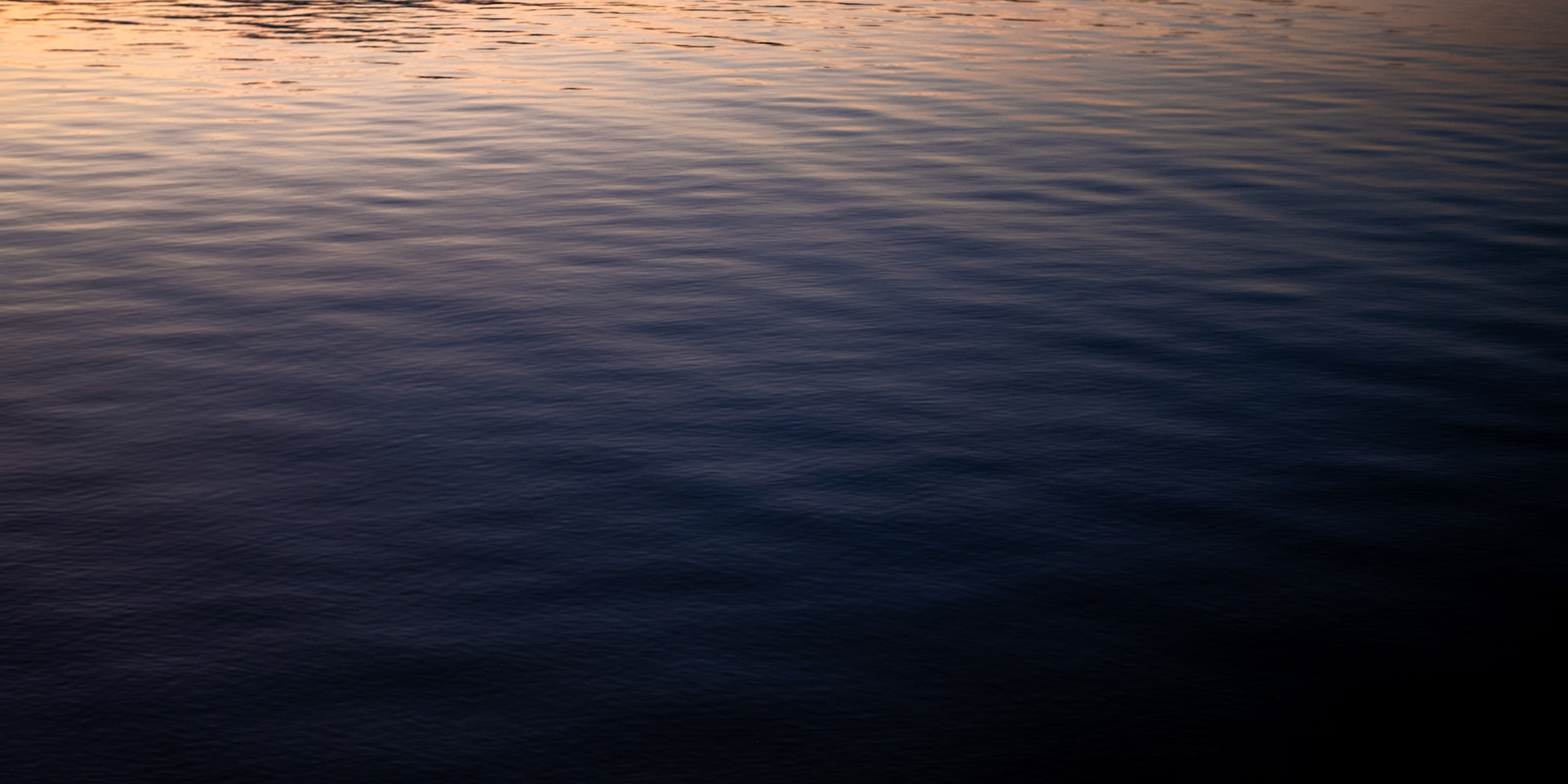 My Obsession With Water, 2024