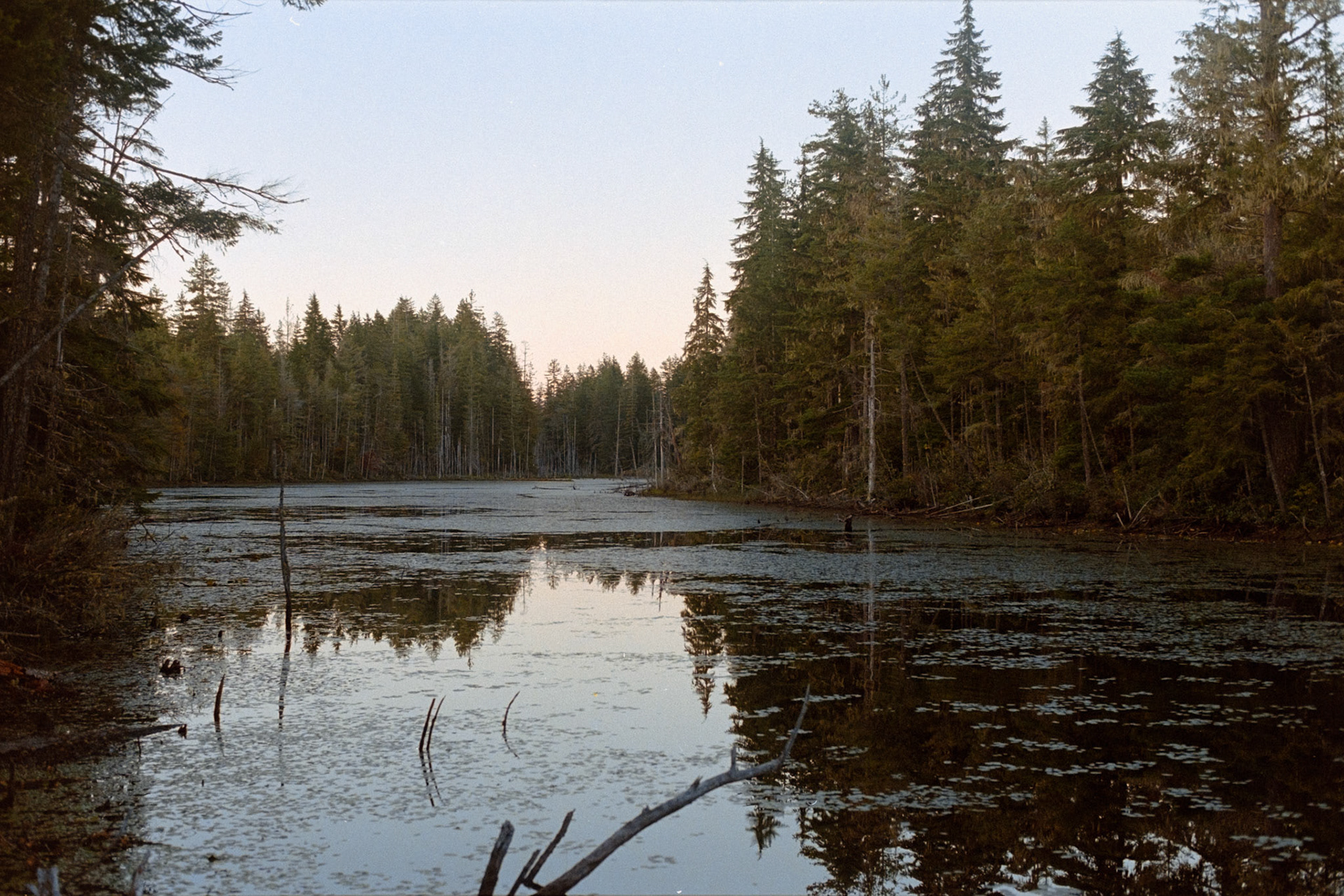 Lake of the Forest, set of 2