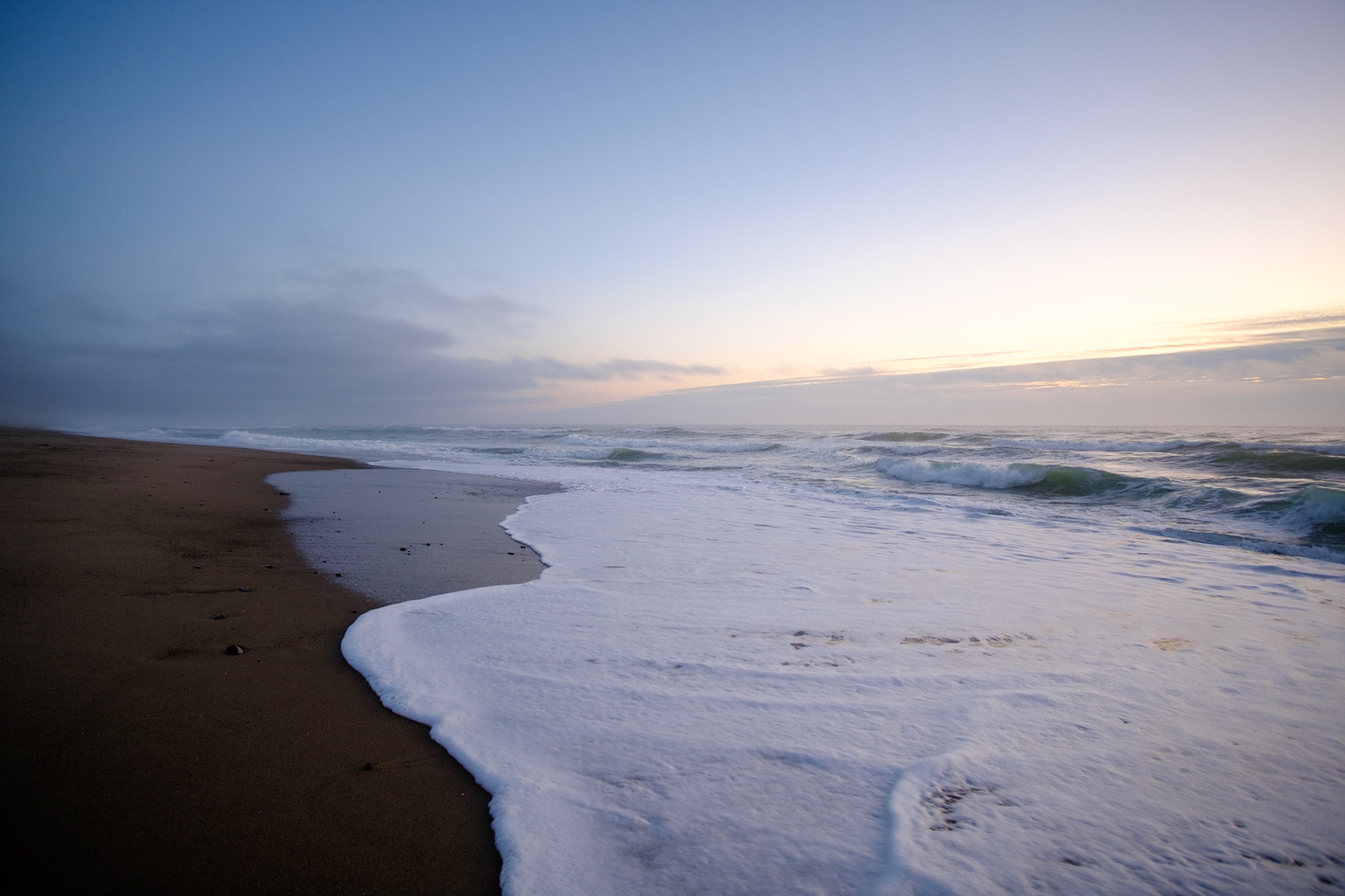 Oregon Coast, 2024