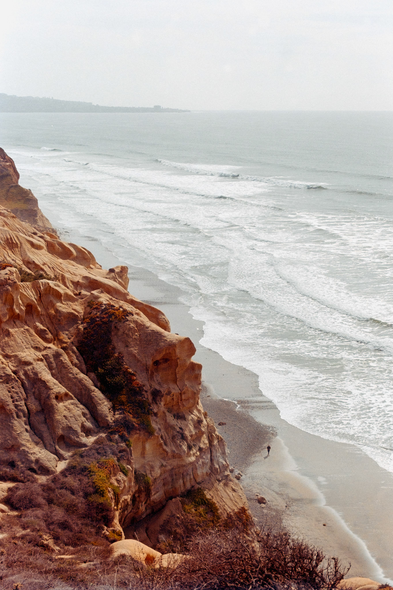 Torrey Coast, 2025, set of 2