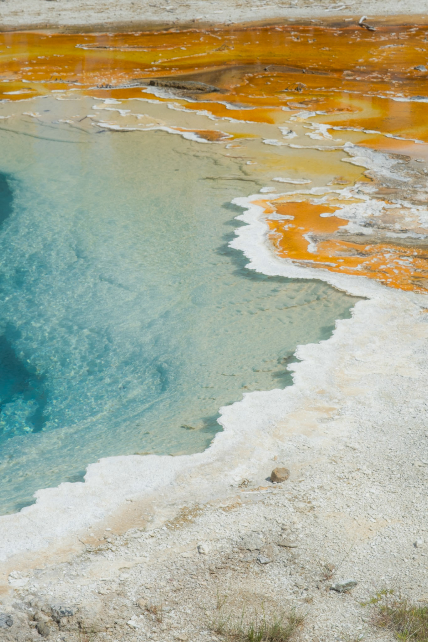 Yellowstone, 2024