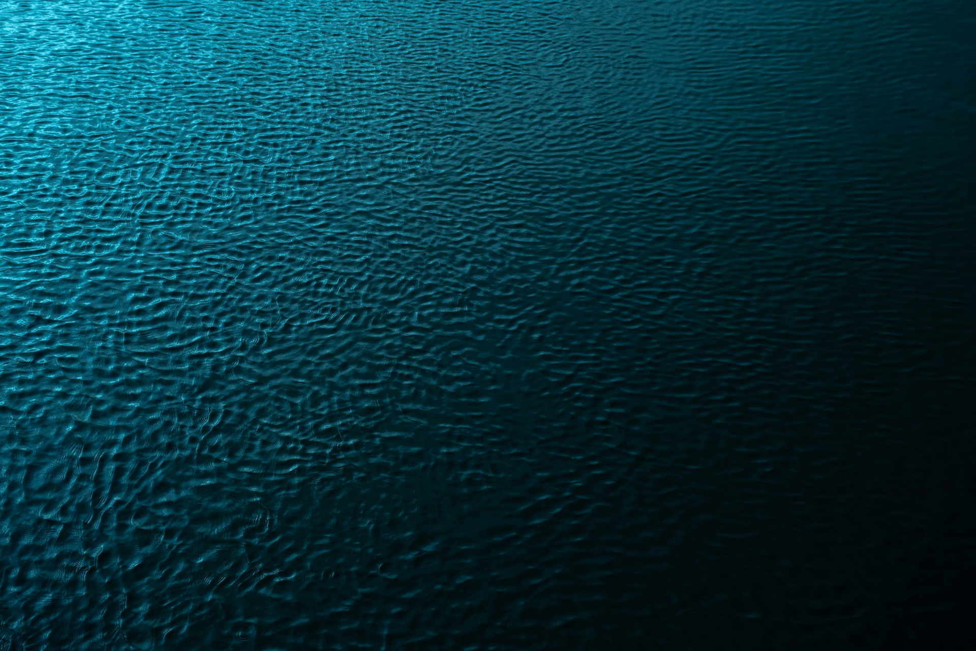 My Obsession With Water, 2024