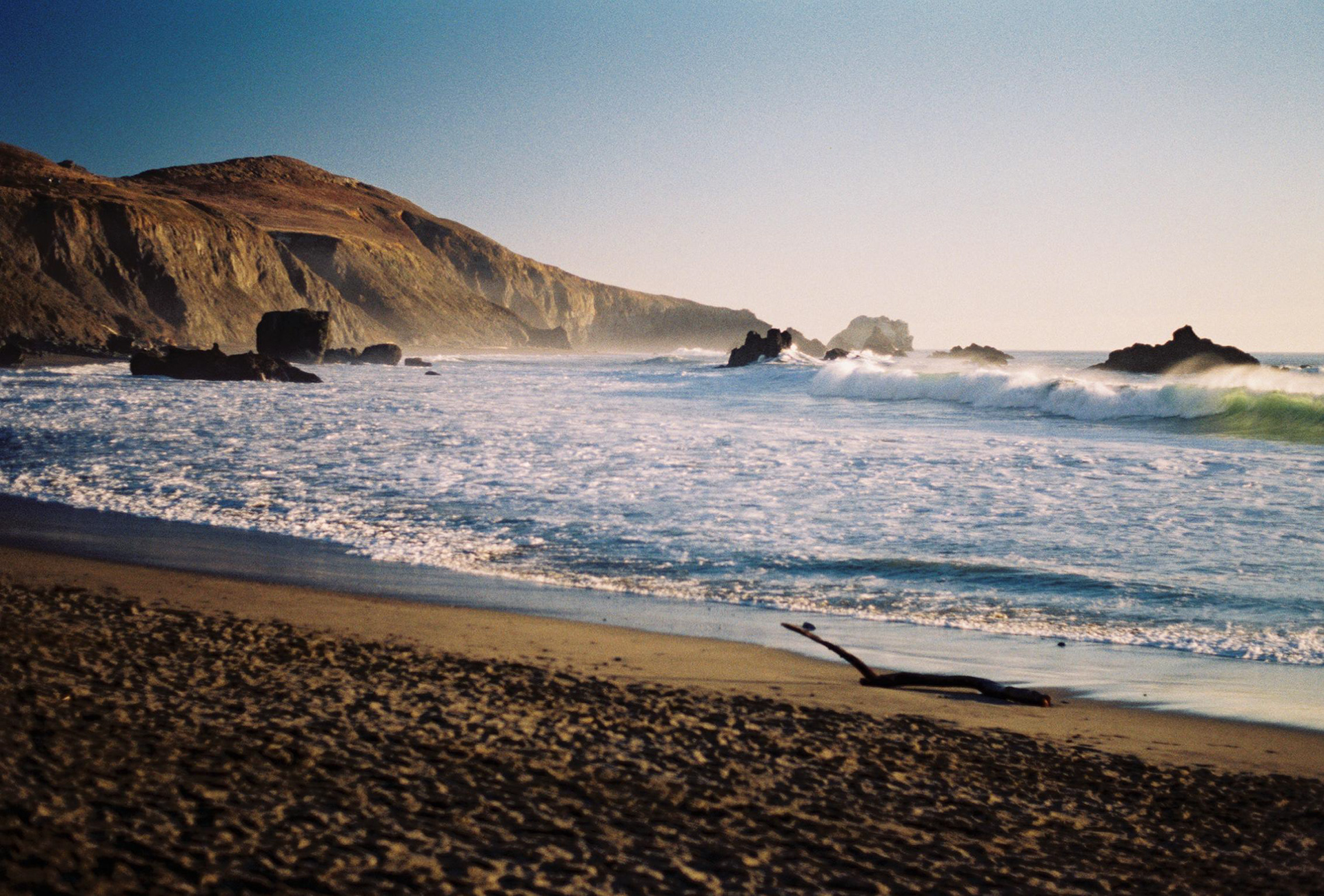 Goat Rock Beach State Park