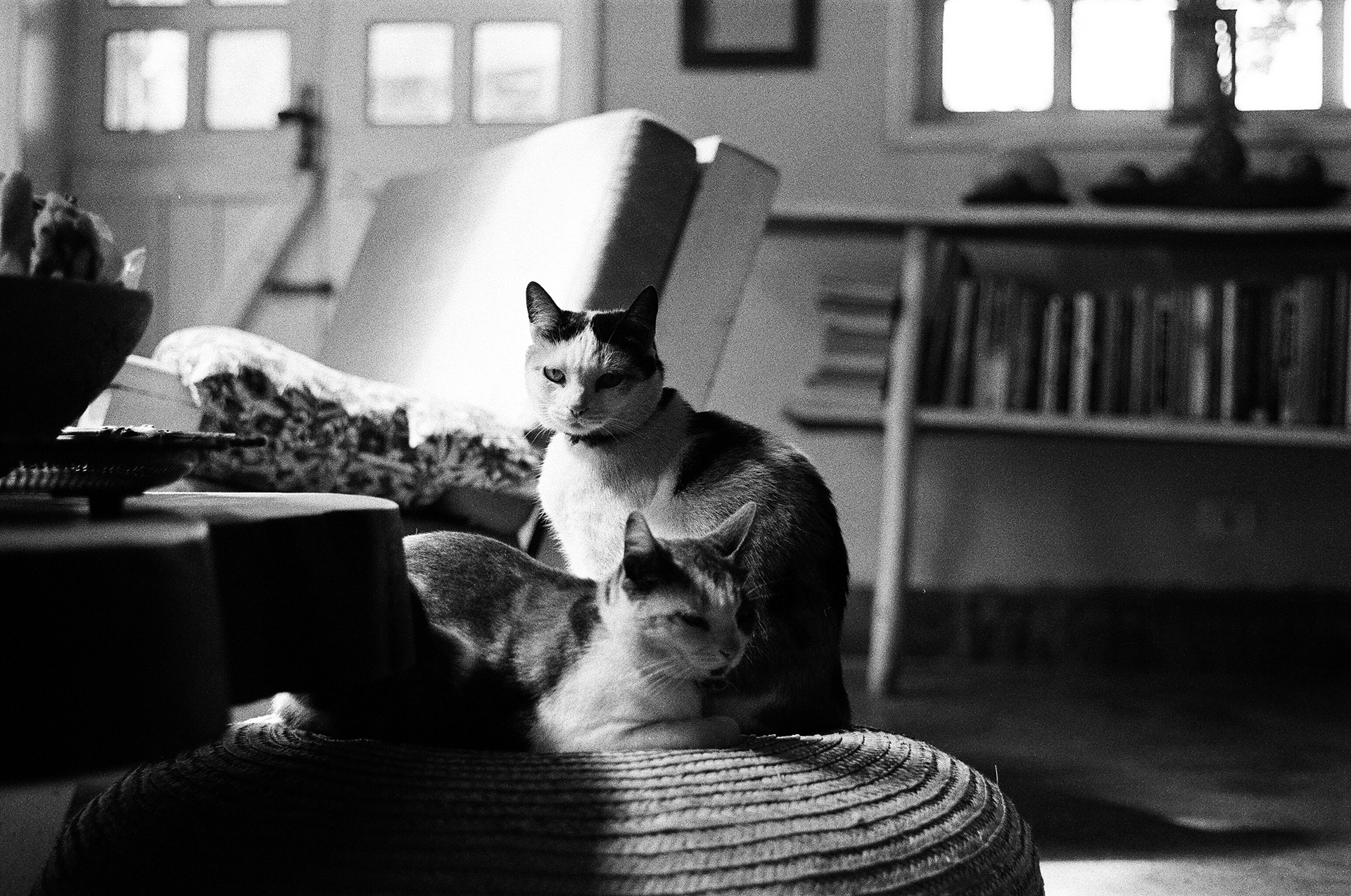 chapada diamantina @2019