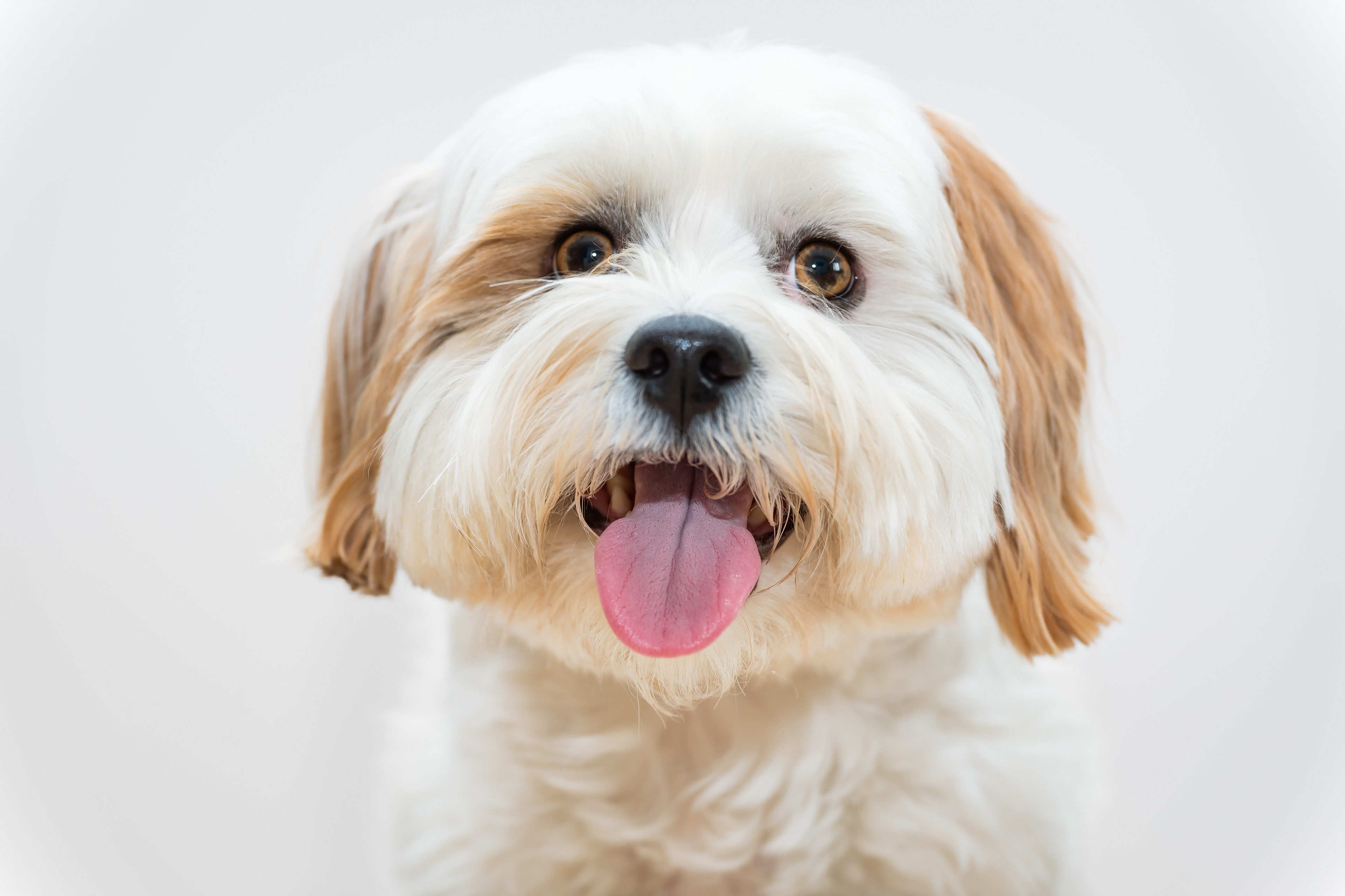 ©Melanie Rams Photography