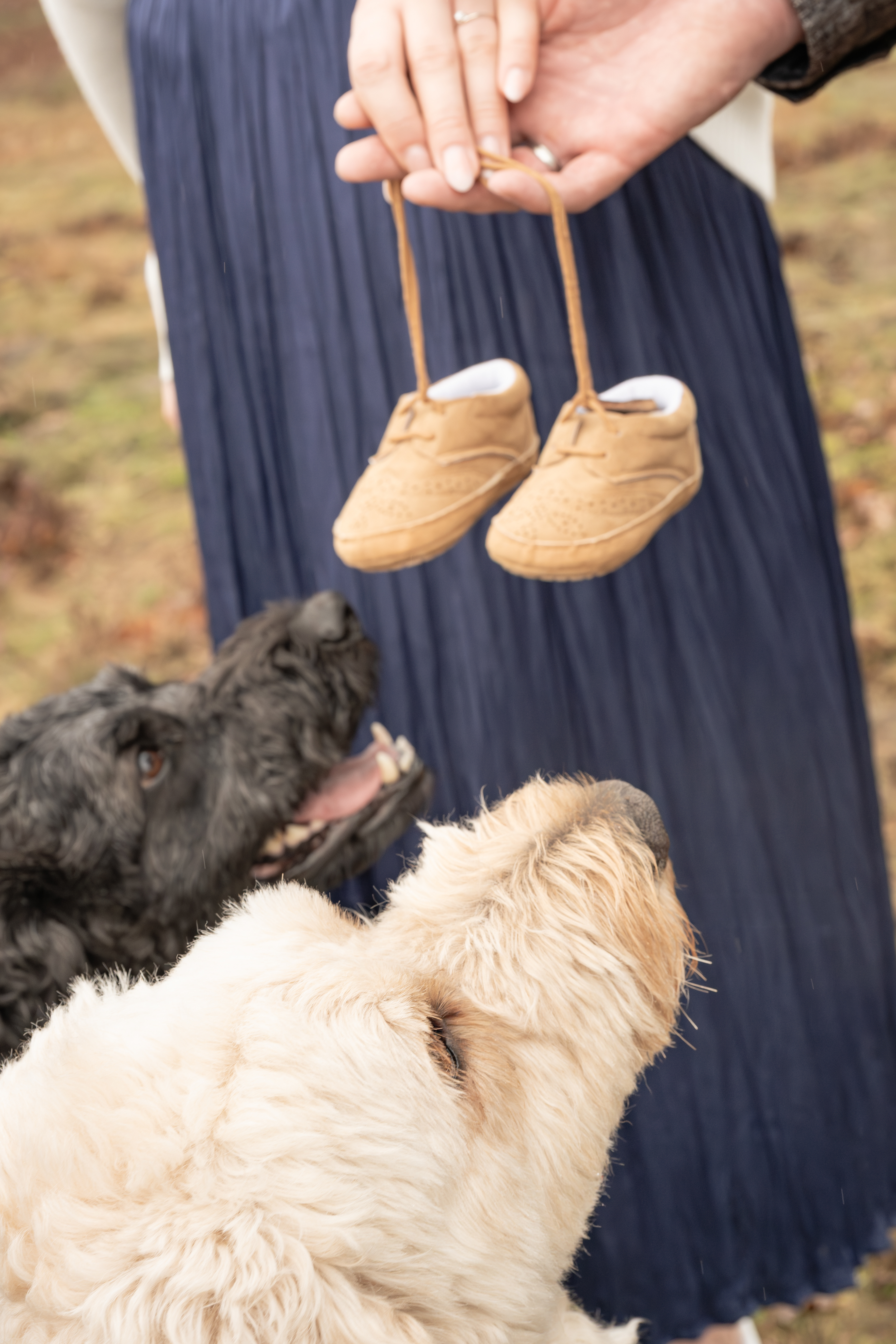 ©Melanie Rams Photography