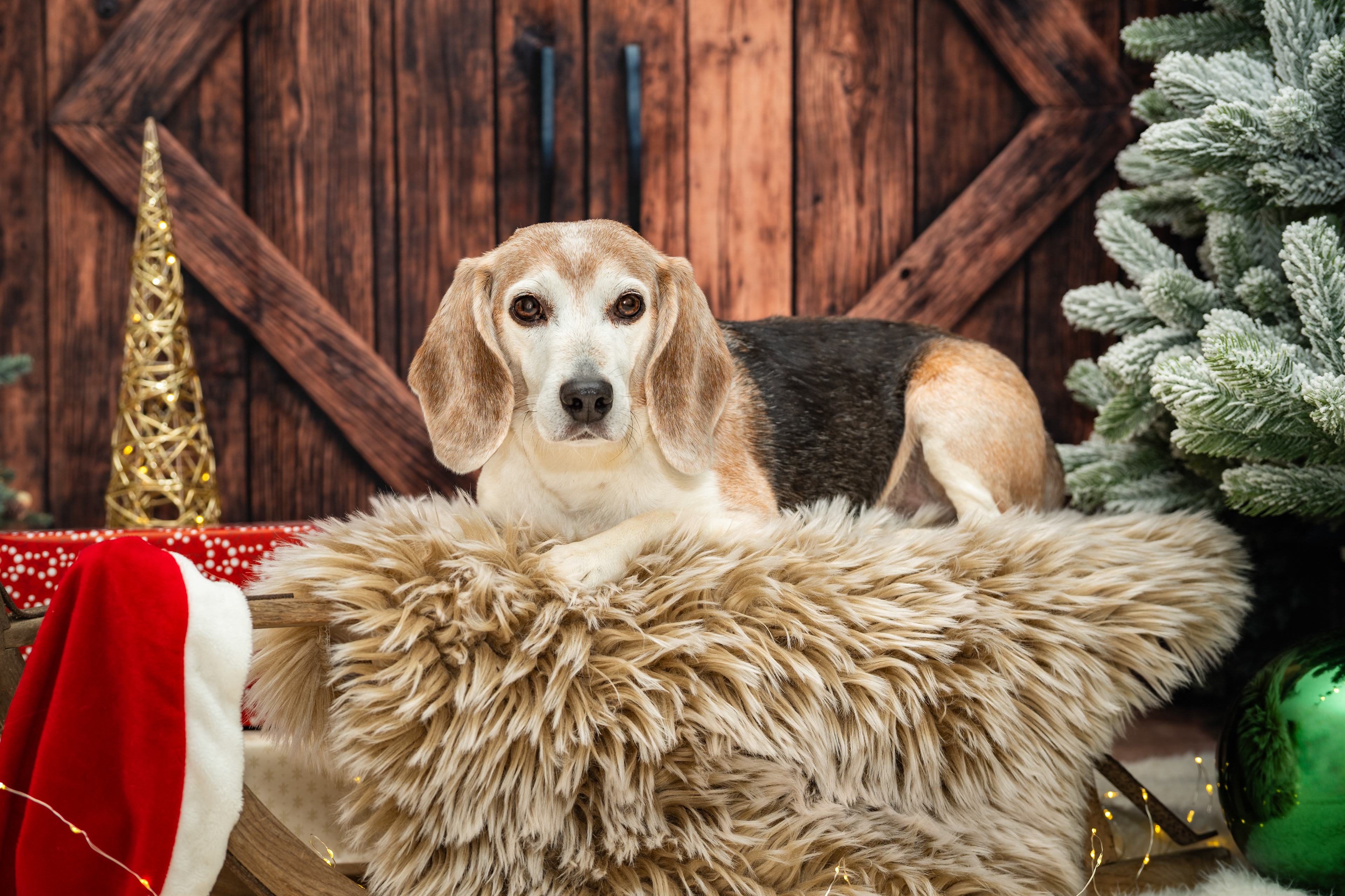 ©Melanie Rams Photography