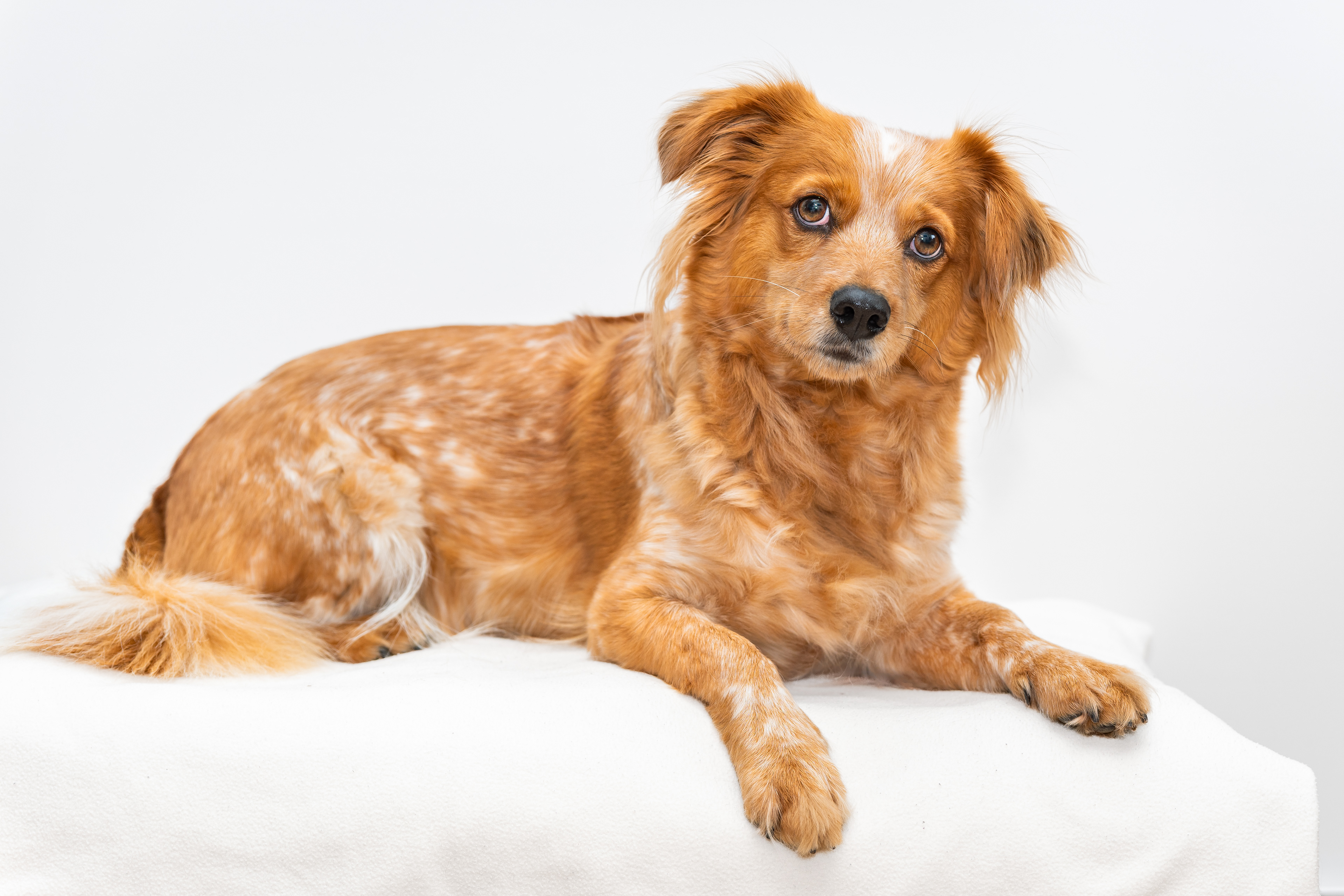 ©Melanie Rams Photography