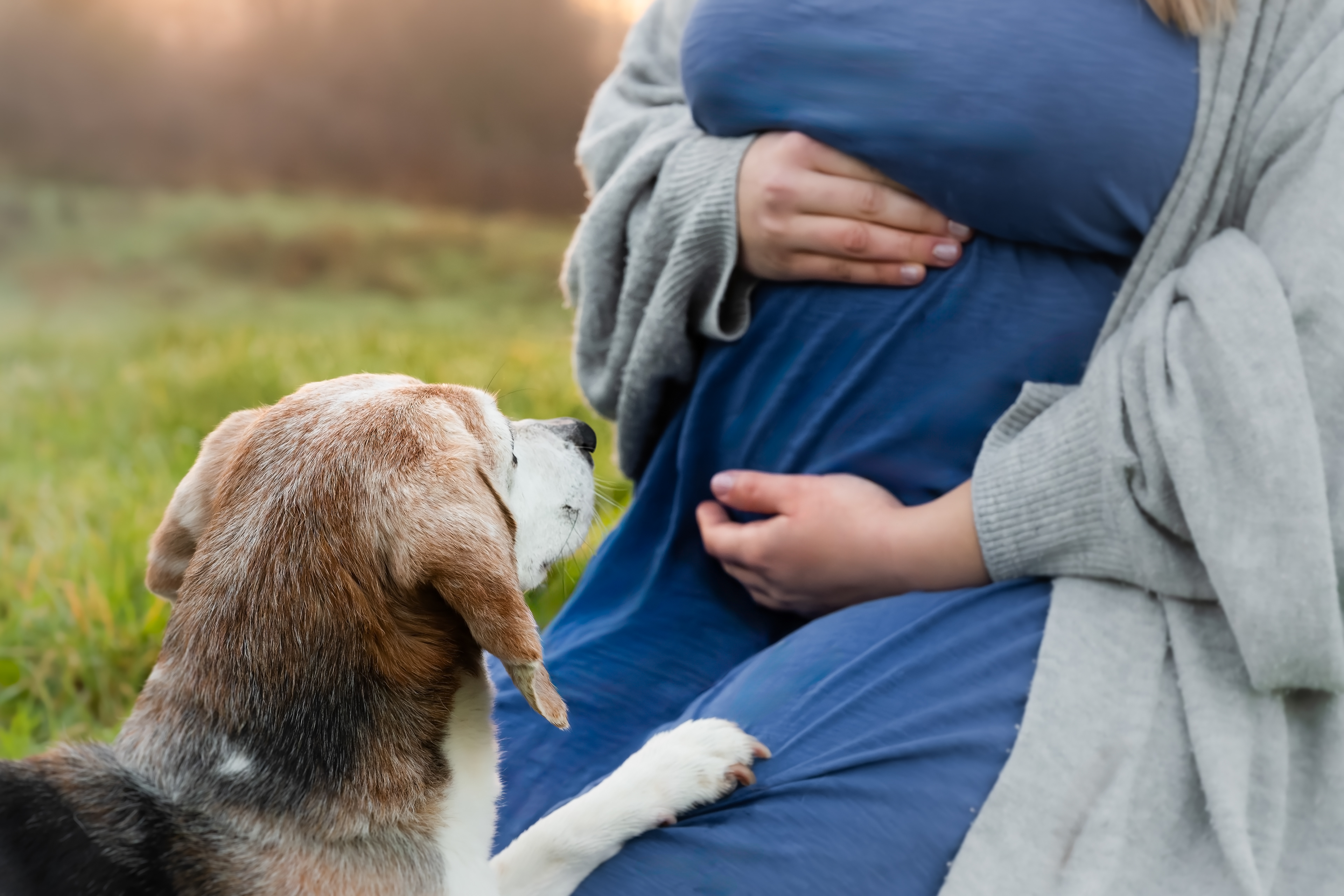 ©Melanie Rams Photography