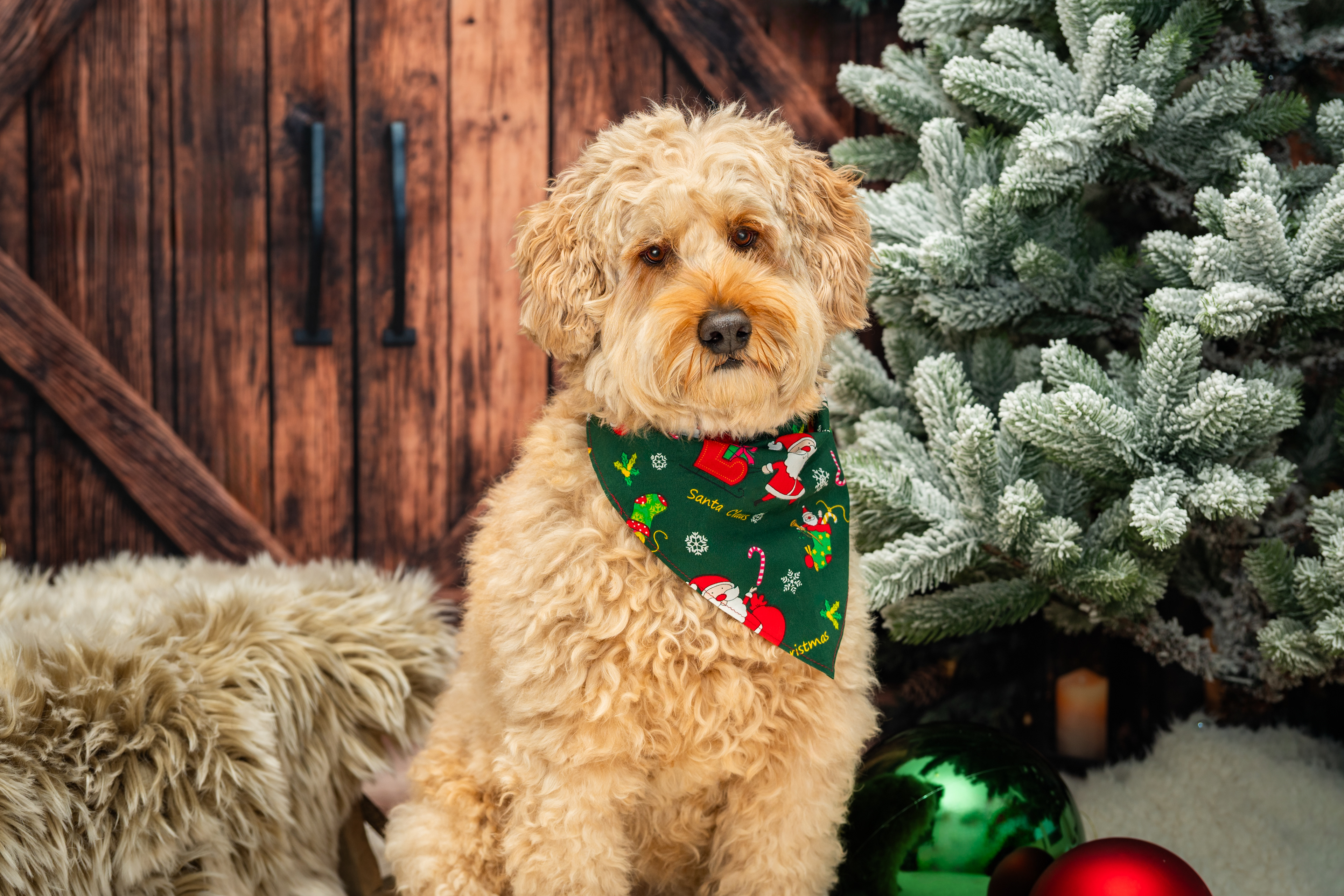 ©Melanie Rams Photography