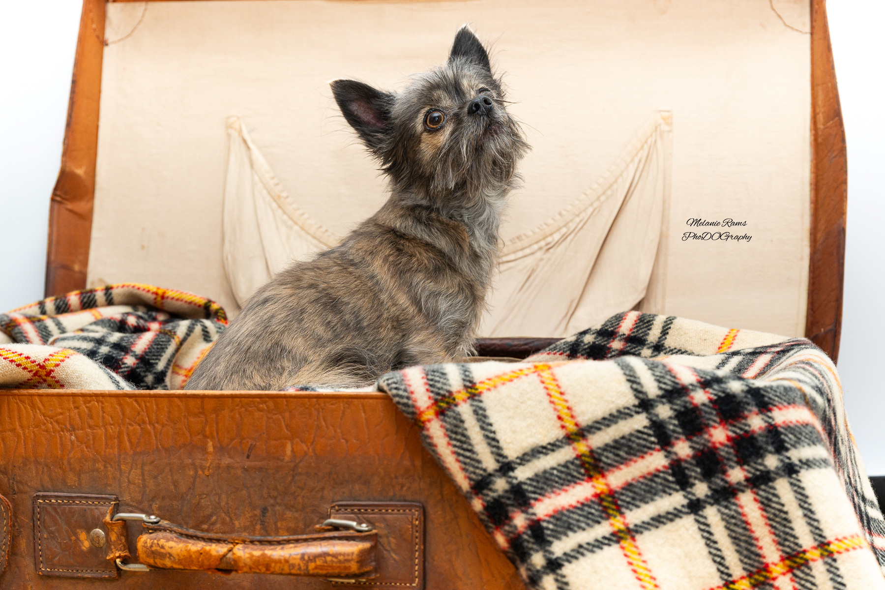 ©Melanie Rams Photography