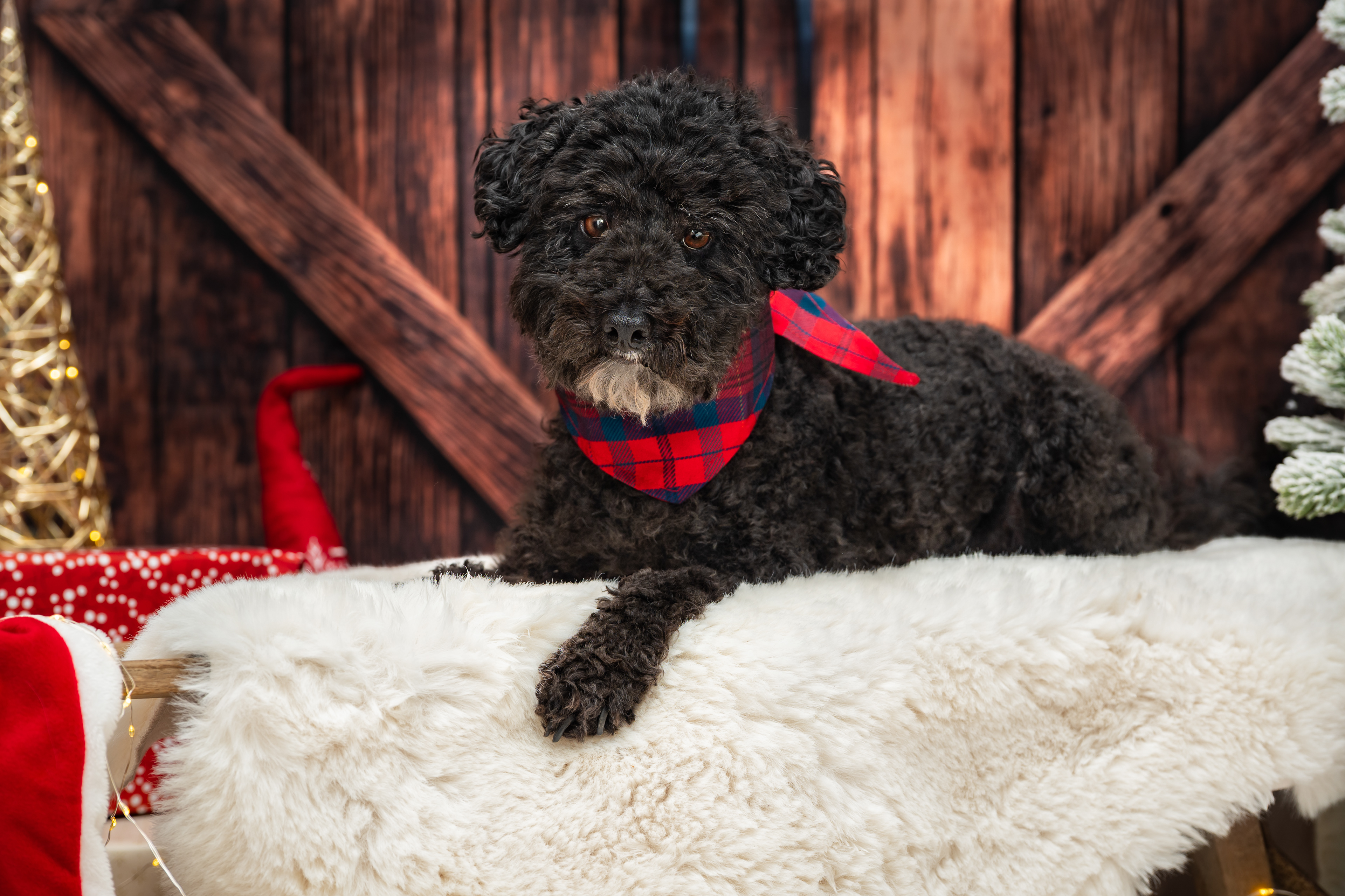 ©Melanie Rams Photography