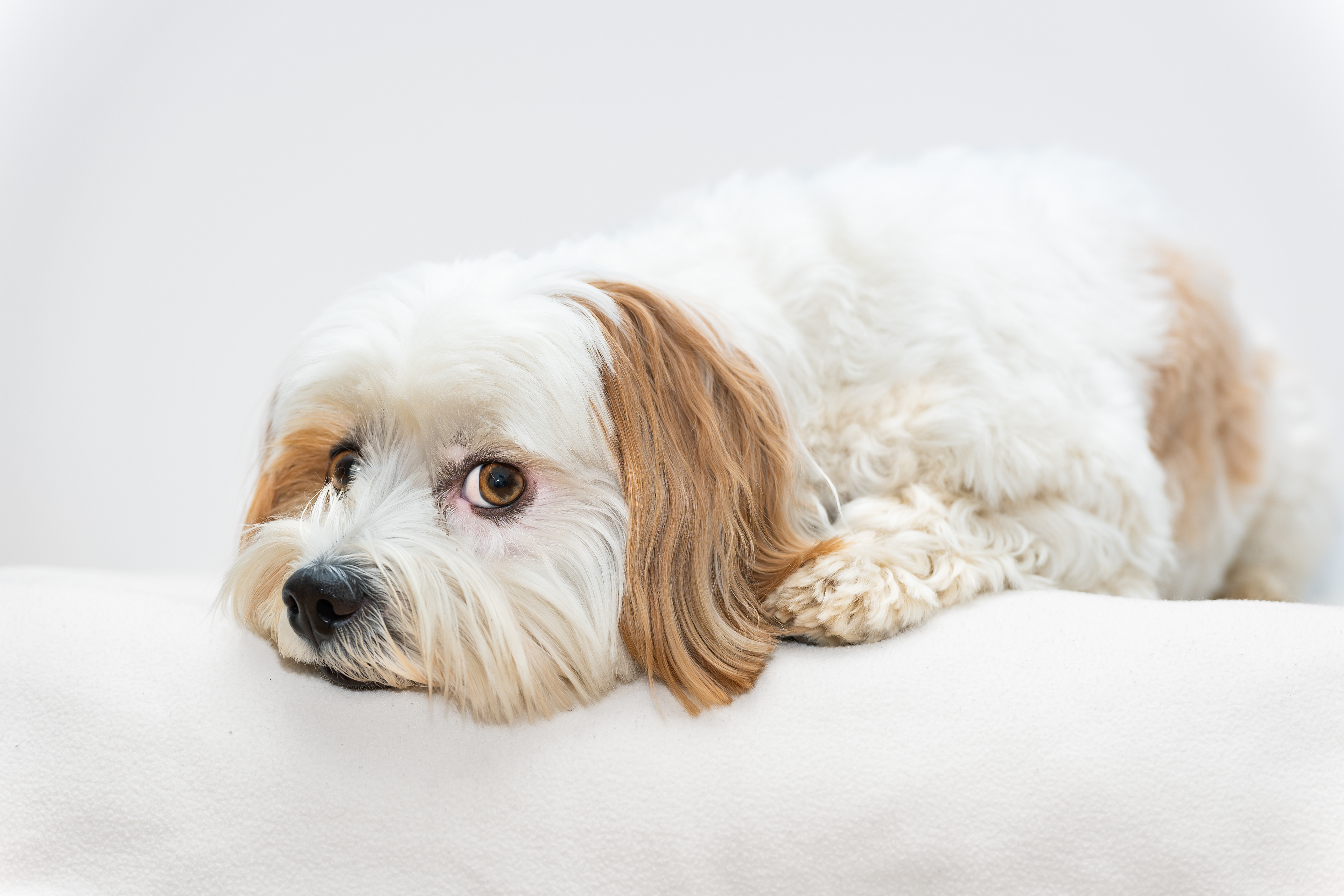 ©Melanie Rams Photography