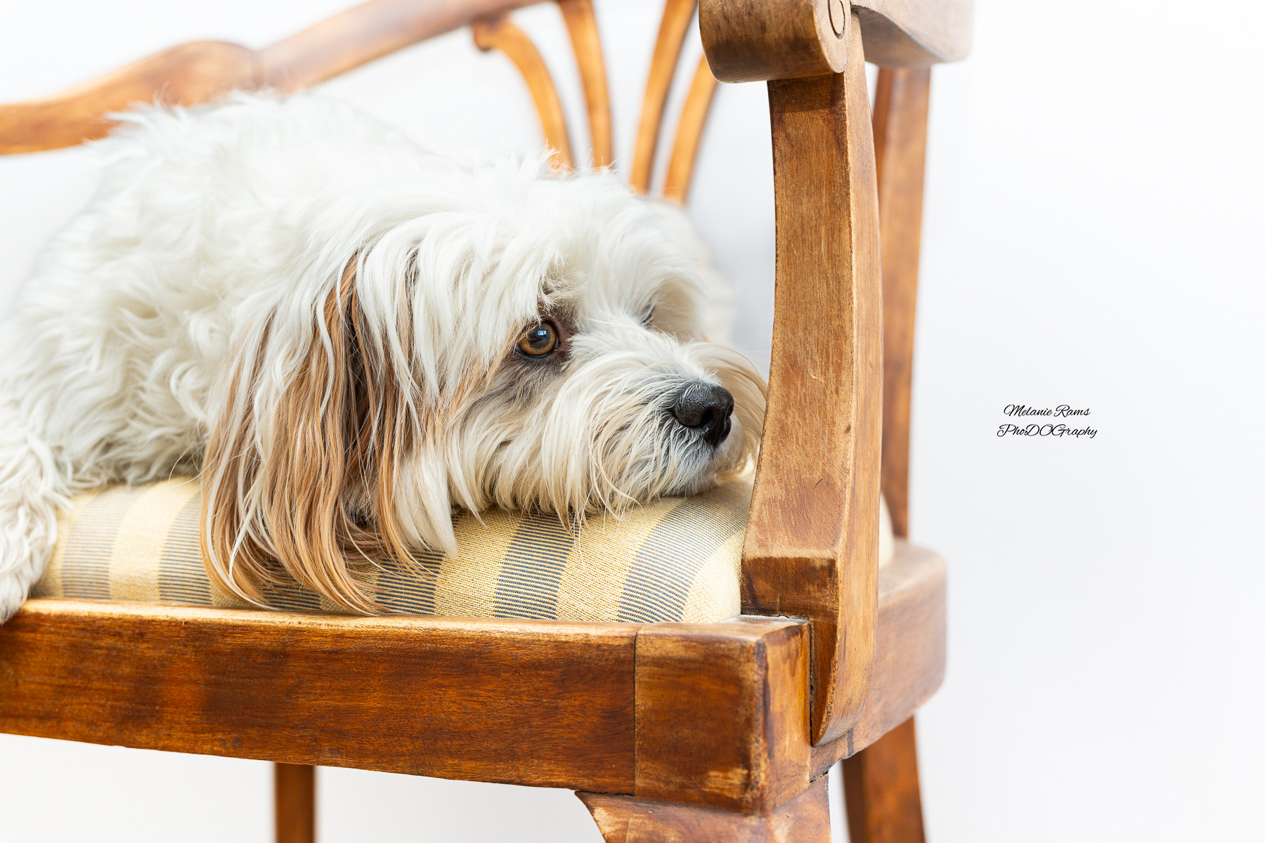 ©Melanie Rams Photography