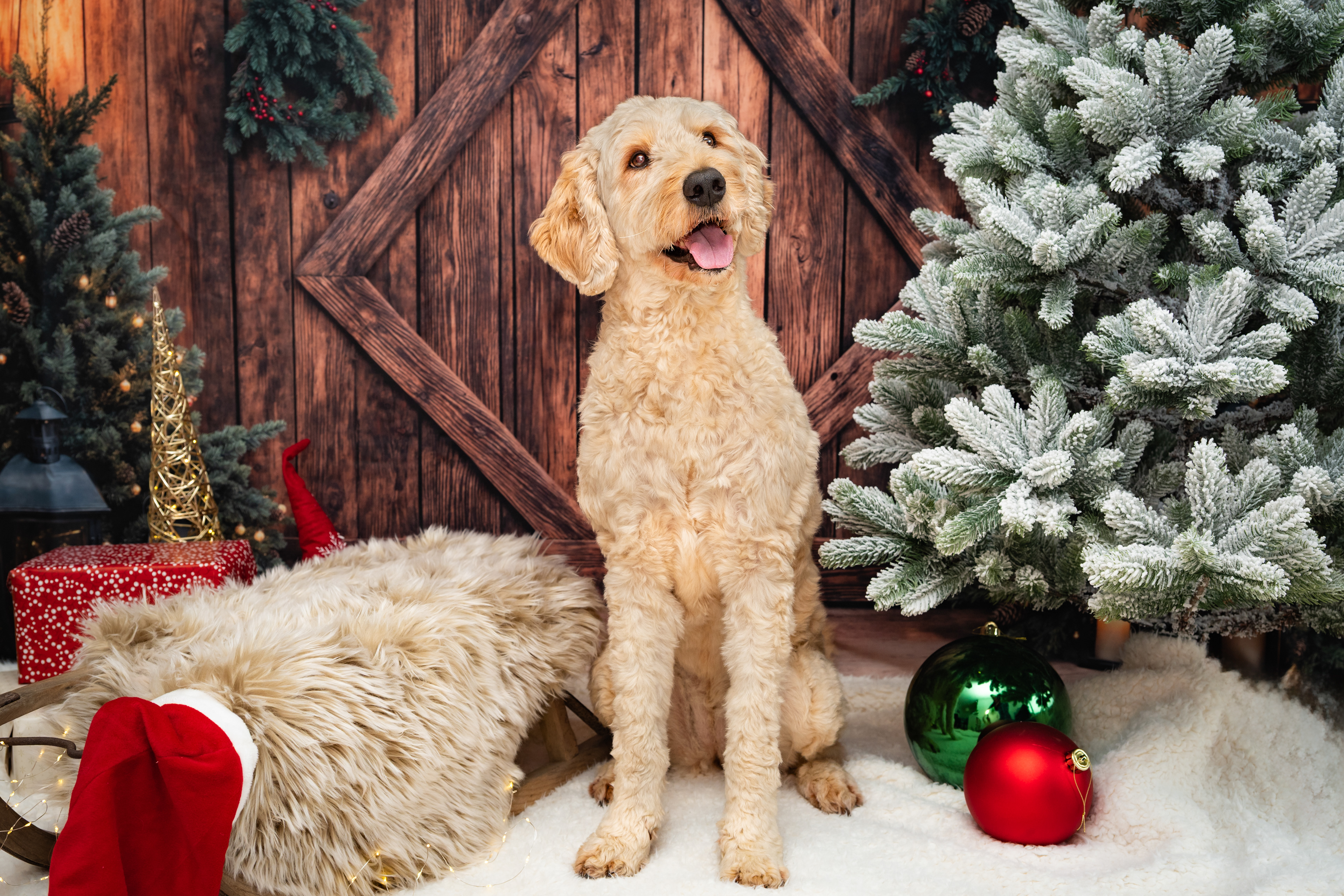 ©Melanie Rams Photography