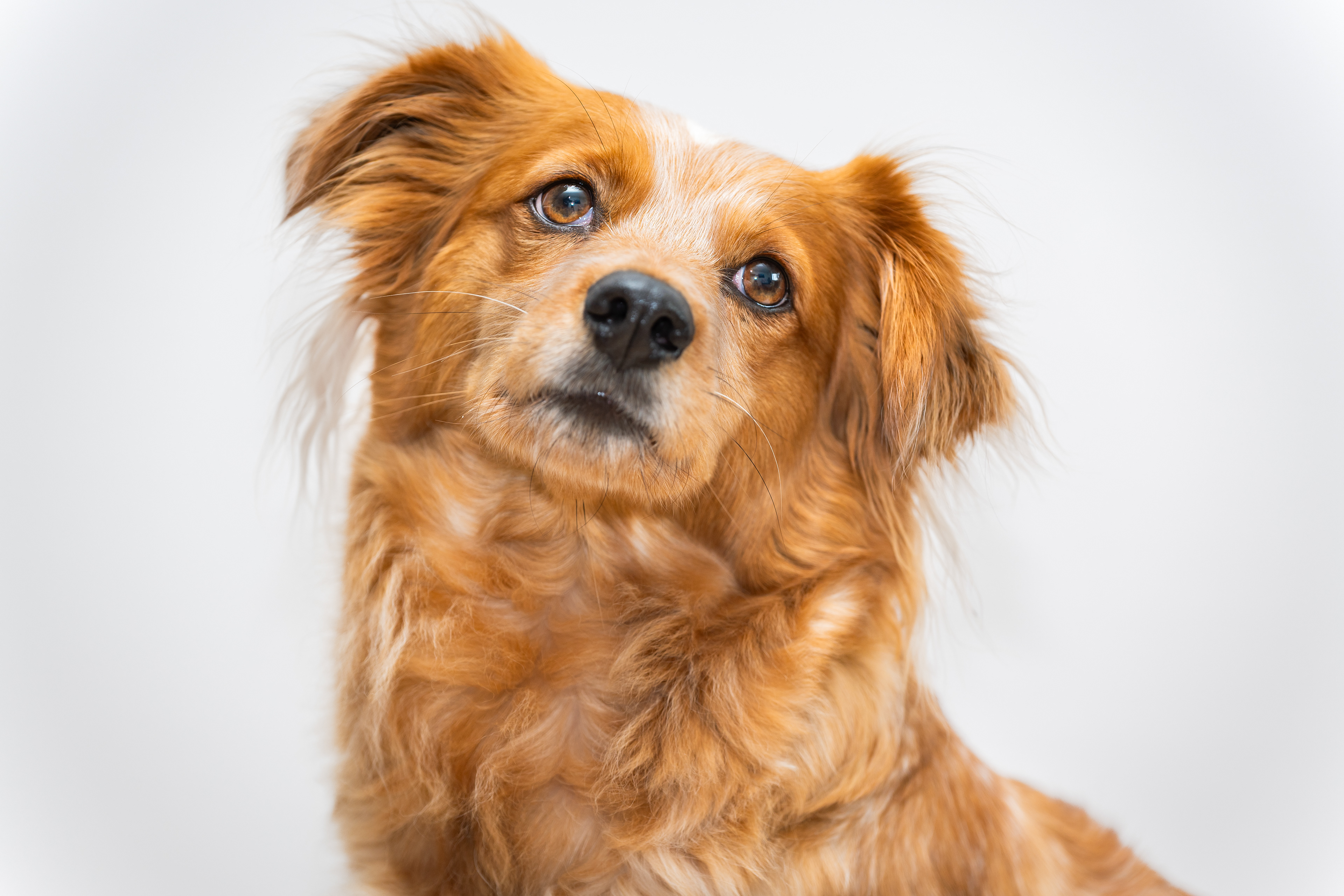 ©Melanie Rams Photography