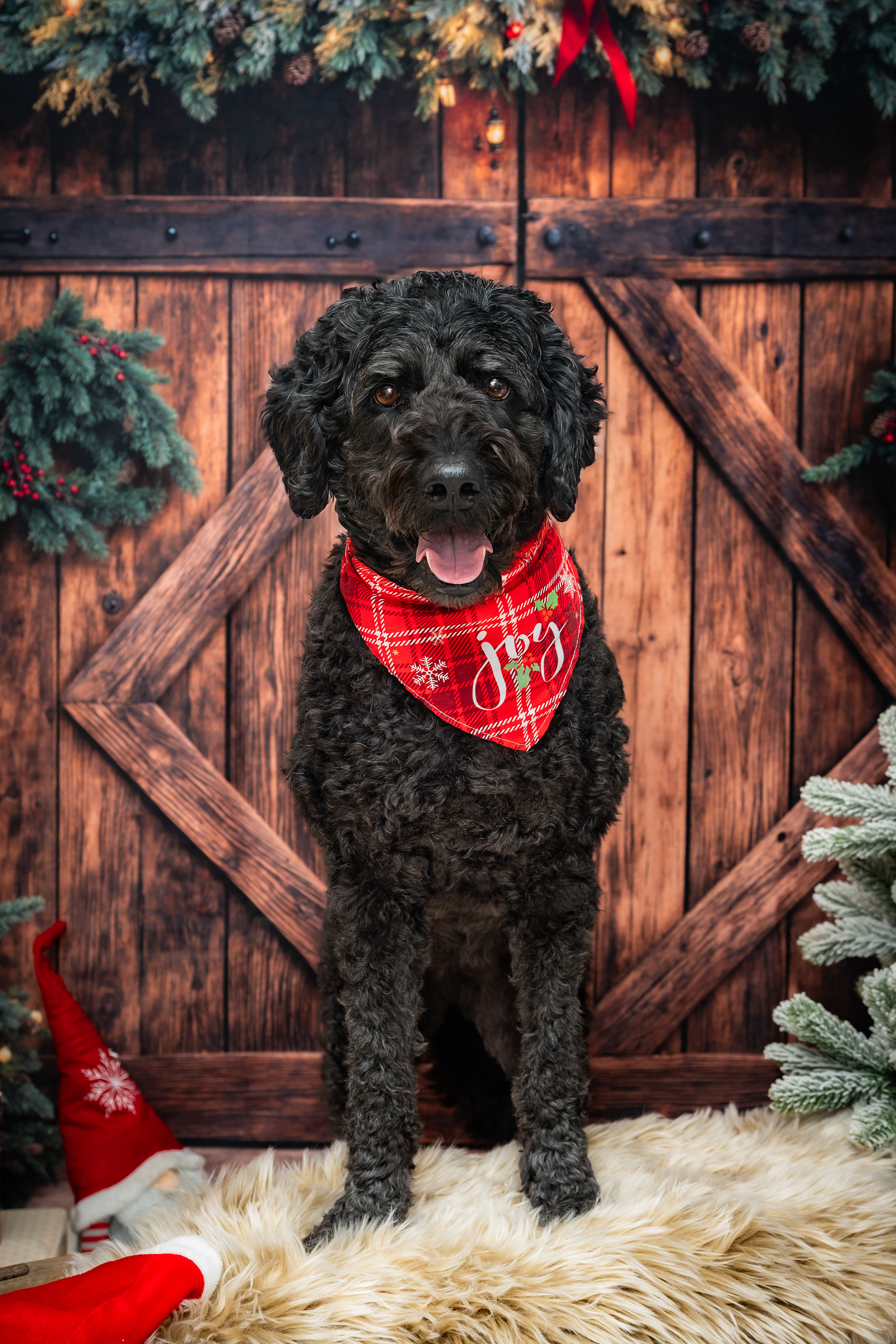 ©Melanie Rams Photography