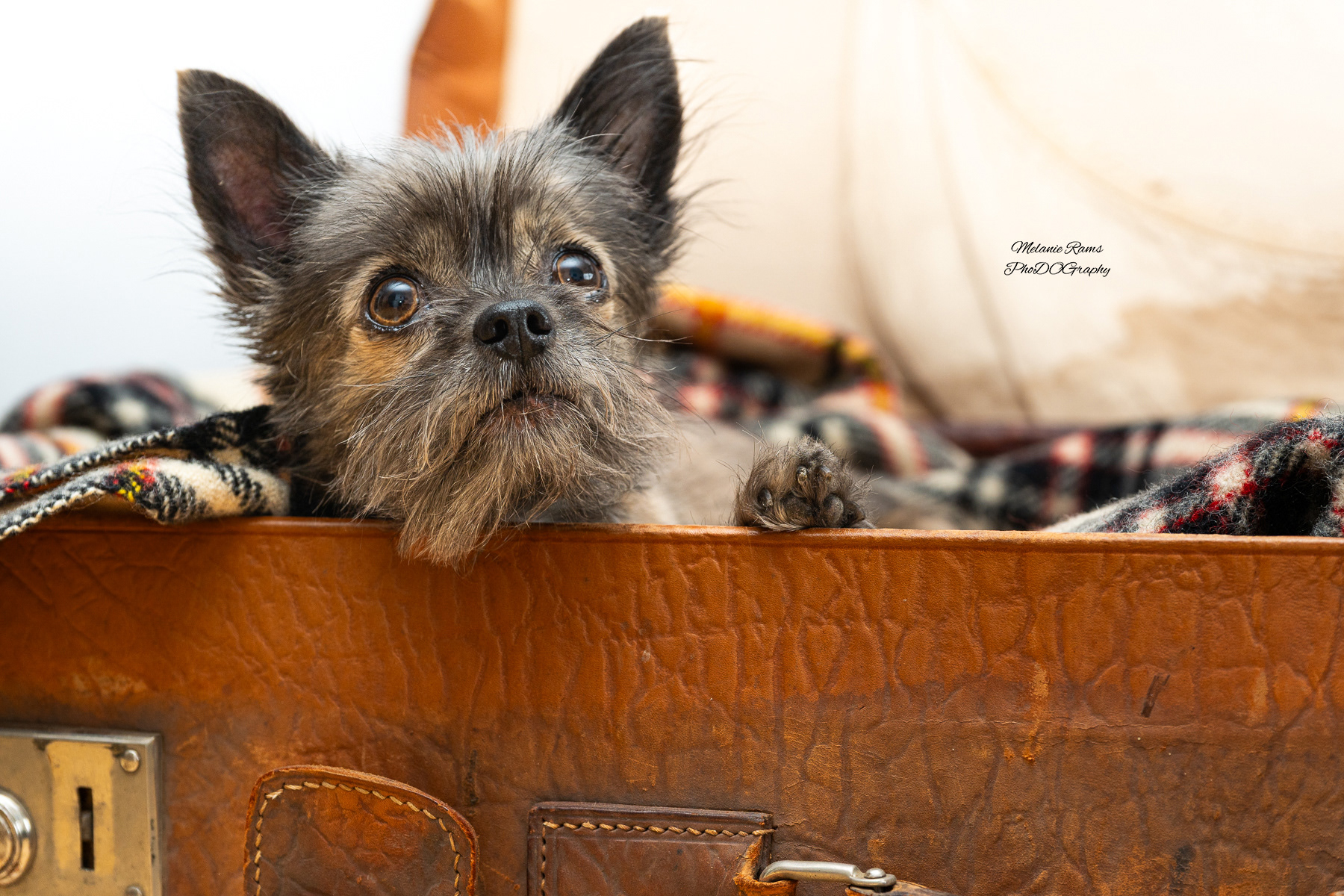 ©Melanie Rams Photography