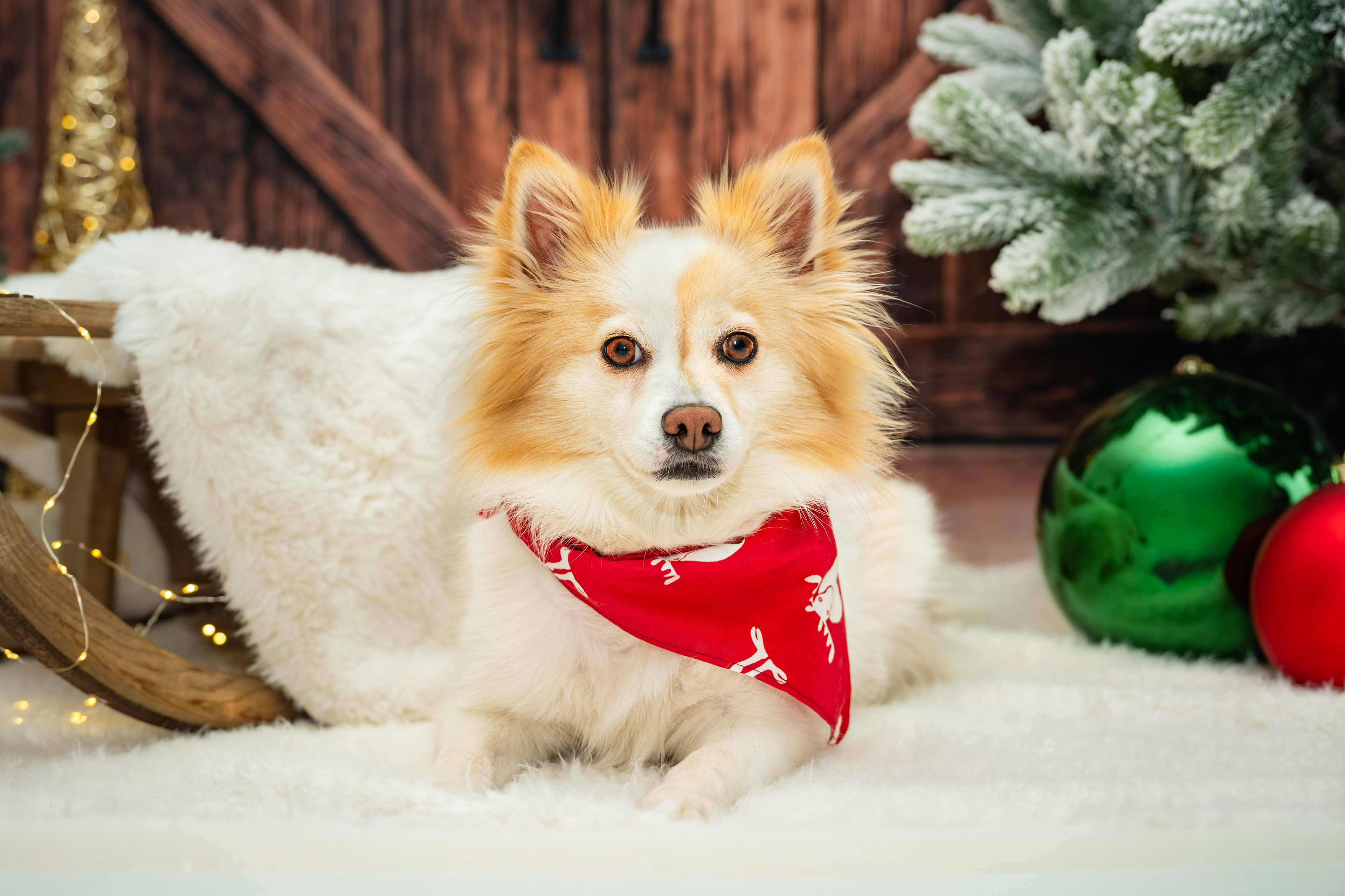 ©Melanie Rams Photography