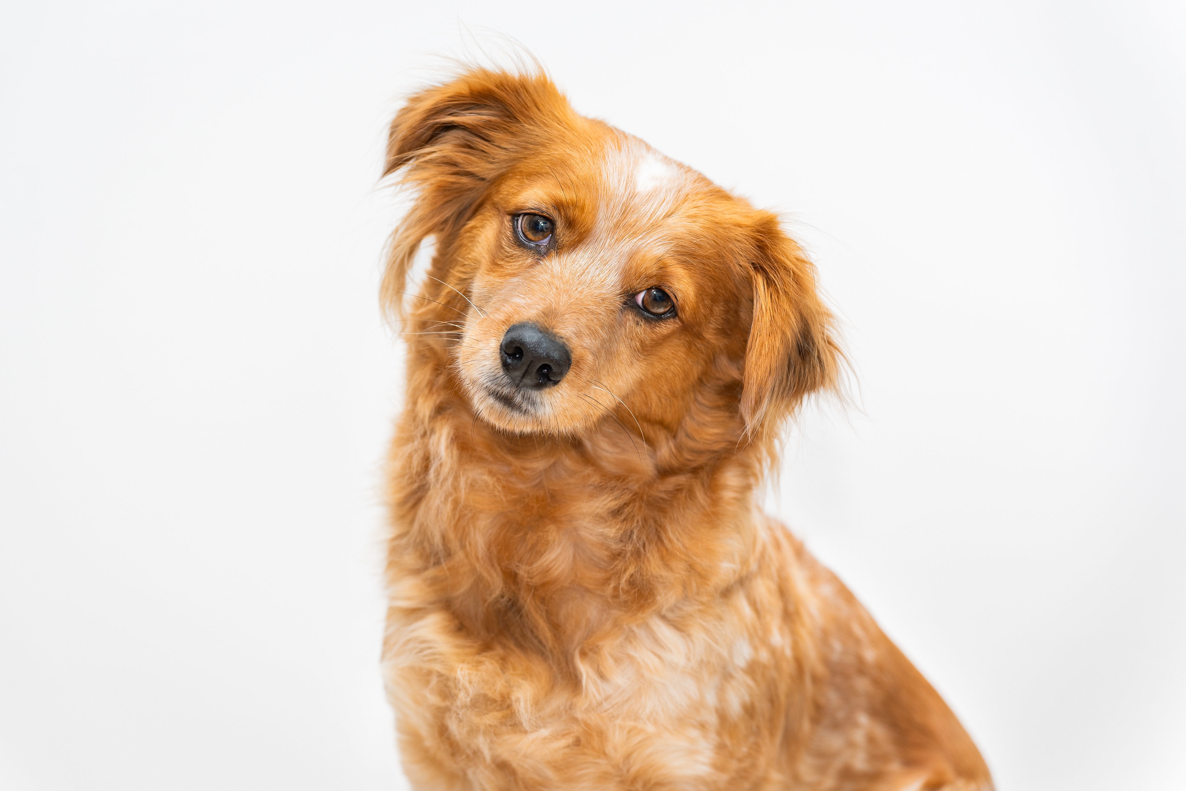 ©Melanie Rams Photography