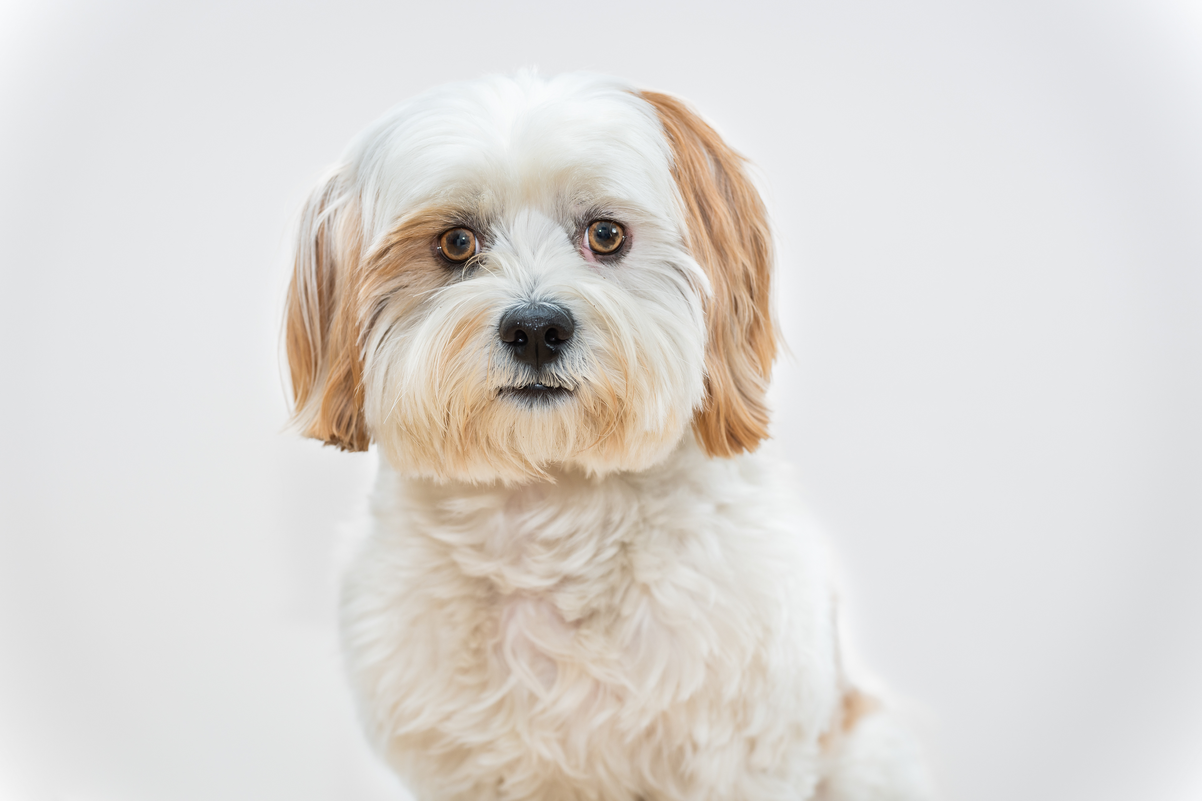 ©Melanie Rams Photography