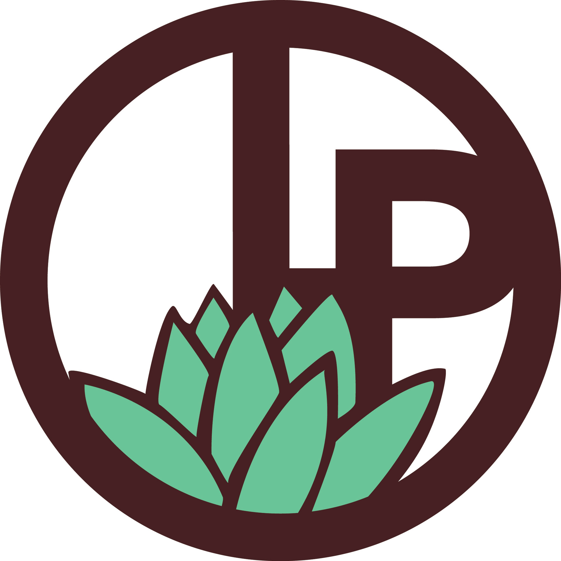 Lilypad