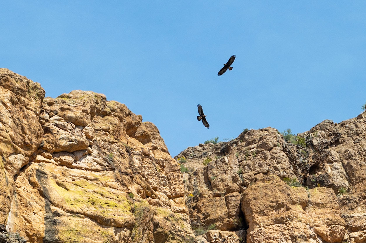Superstition Mountains, Arizona, Tonto National Forest