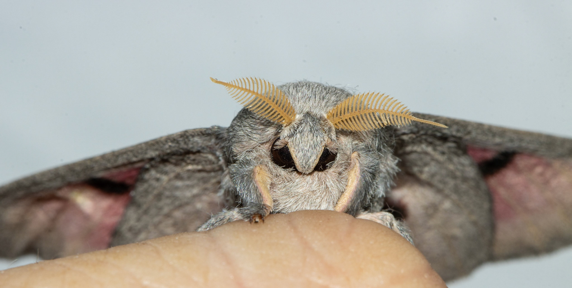 Miles Ranch, Superstition Mountains, Arizona, Tonto National Forest