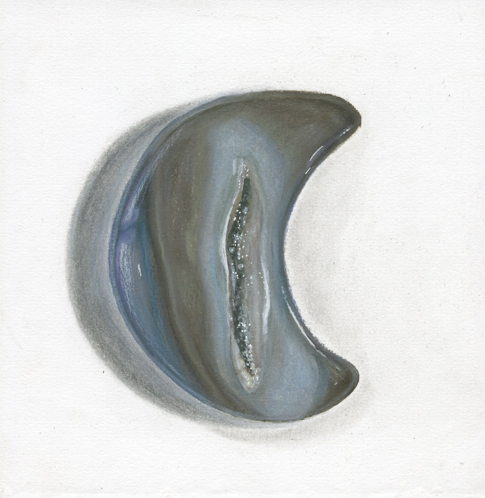 colored pencil, gouache & pastels. 5x5"