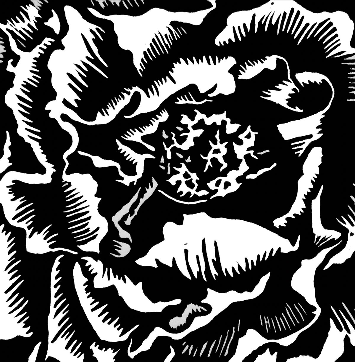 Peony Bloom
