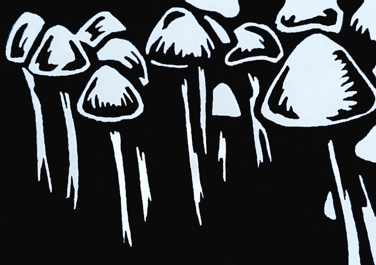 Mushrooms - Mini print, available