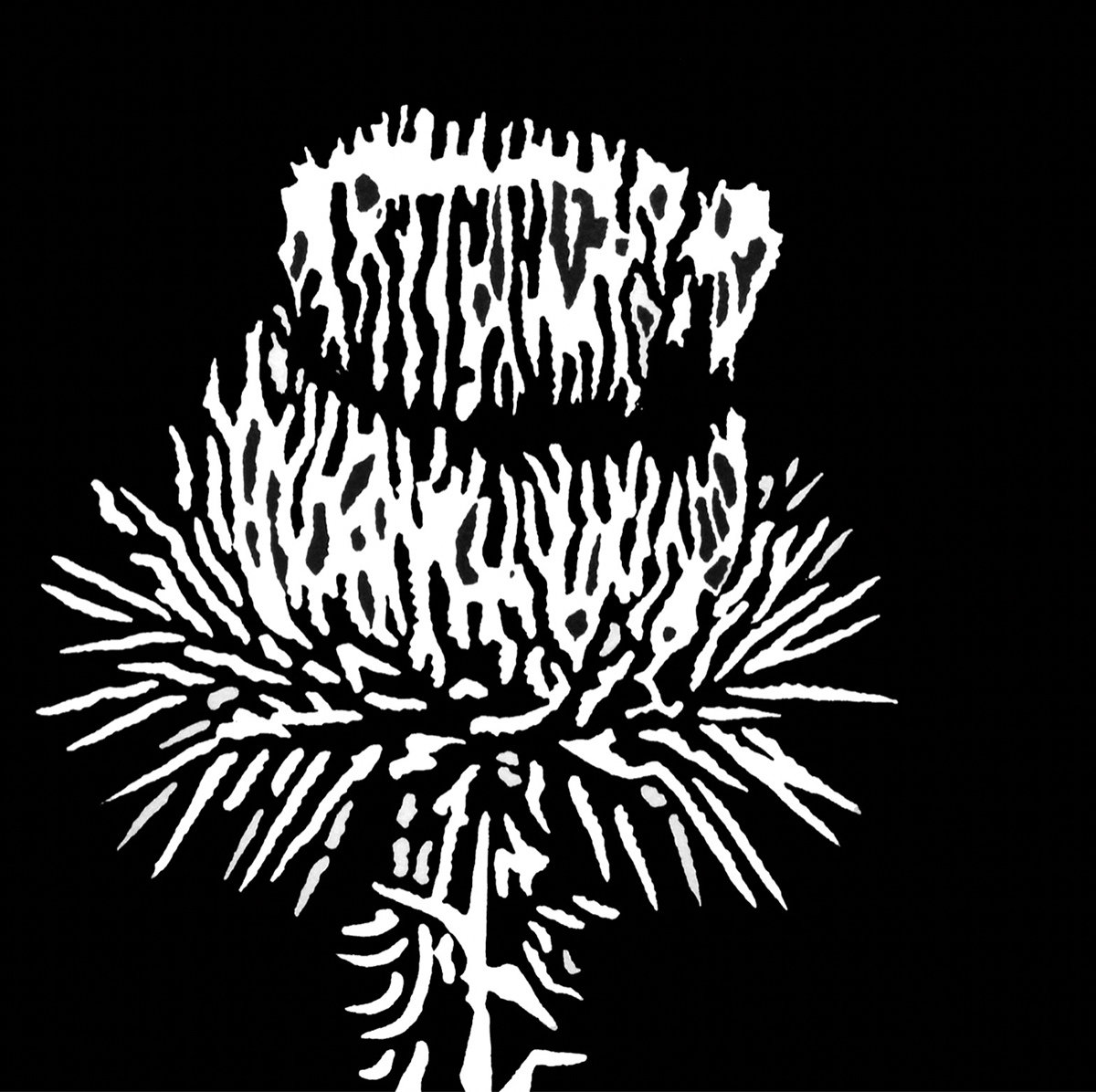 Thistle