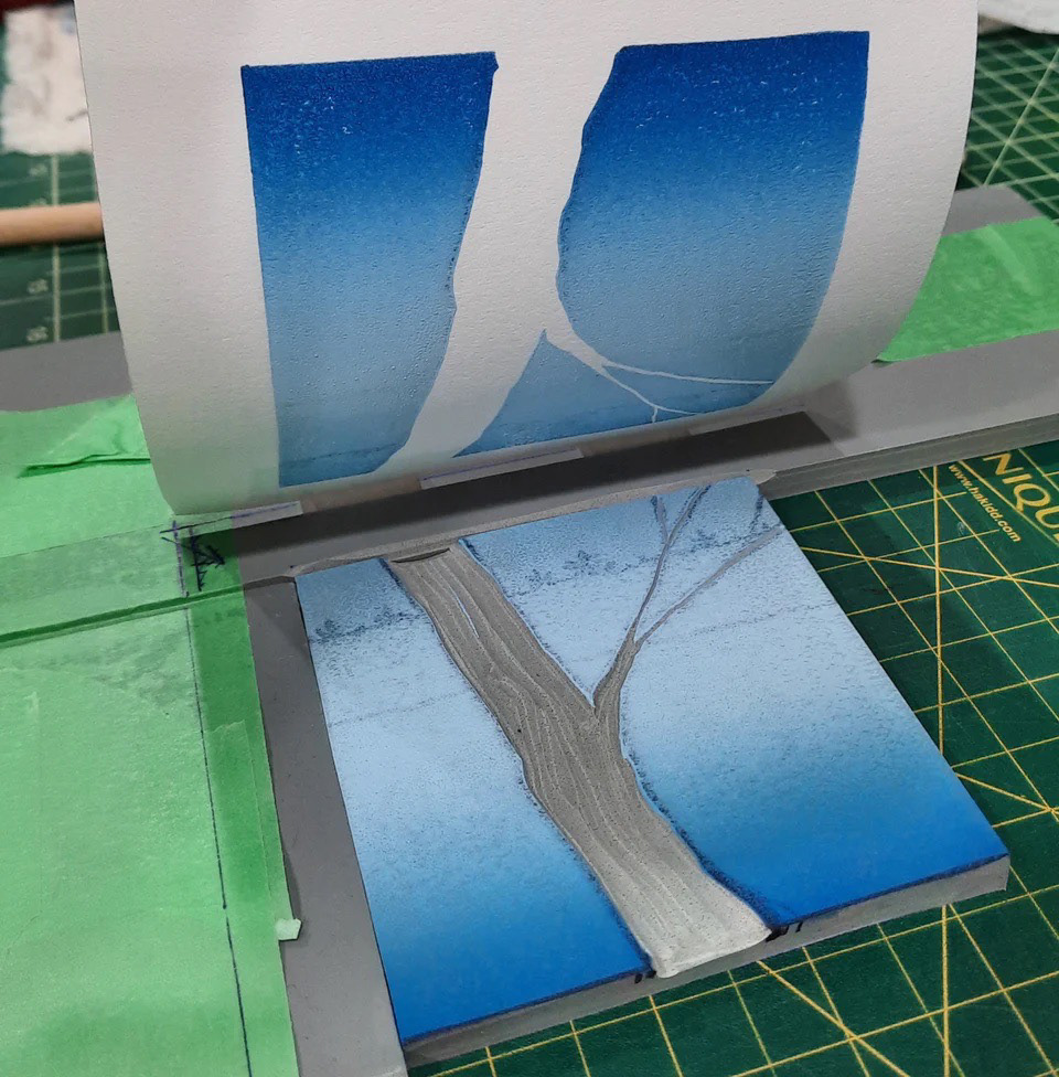 Plate 1 reveal