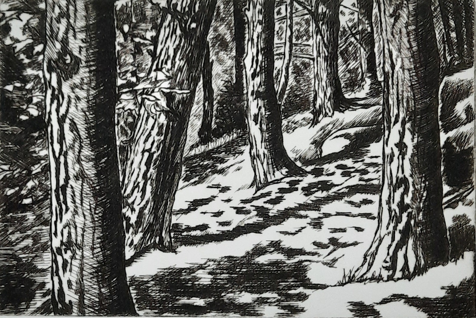 Into the Forest - available