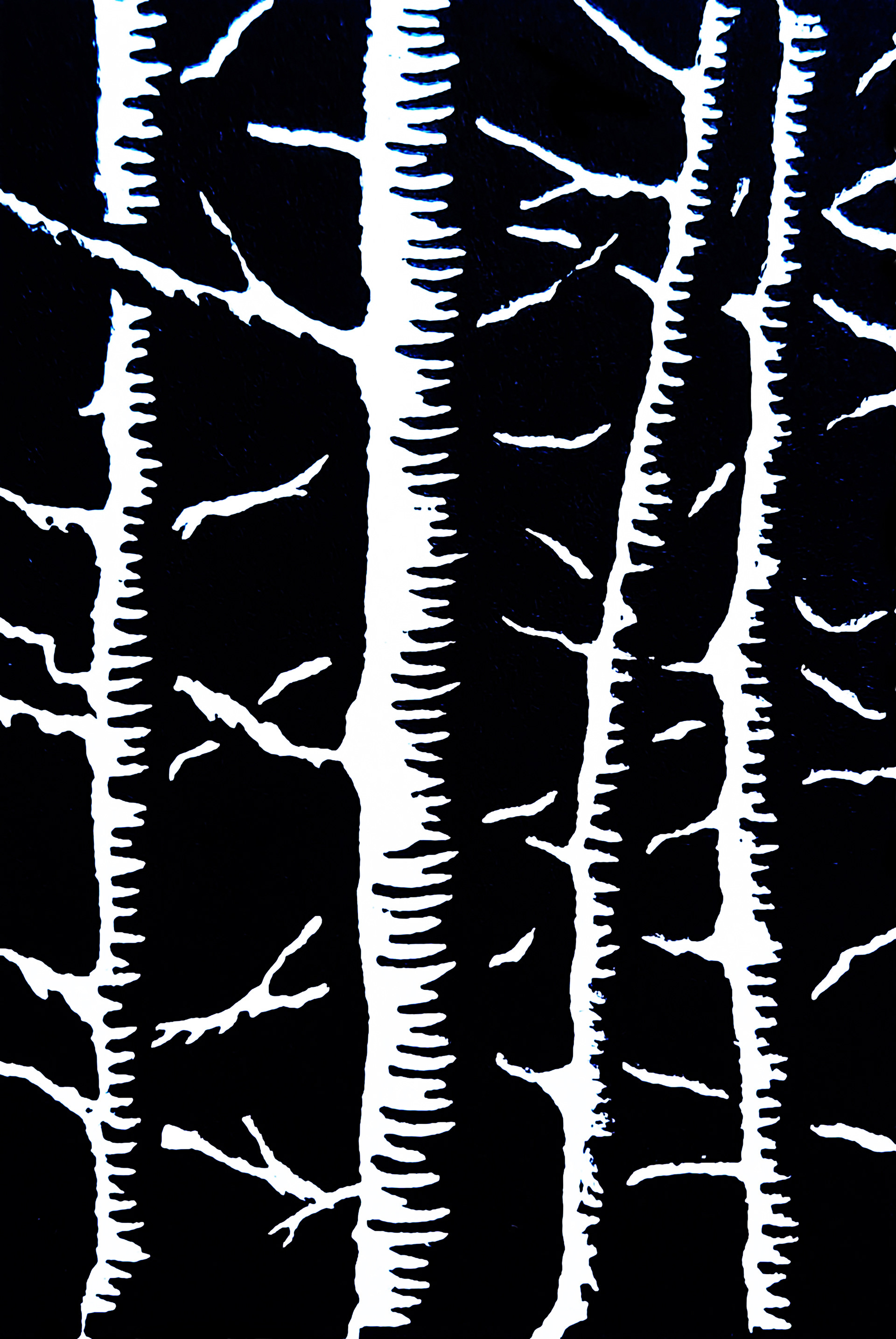 Exposed - Mini print, available
