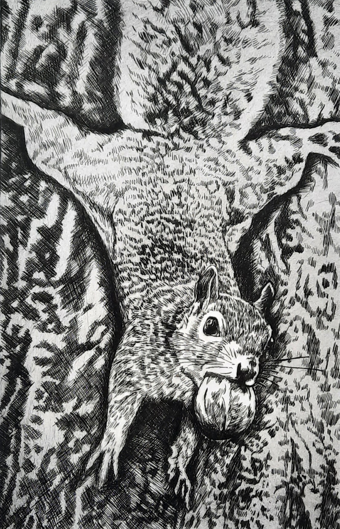 Squirrels Just Wanna Have Fun