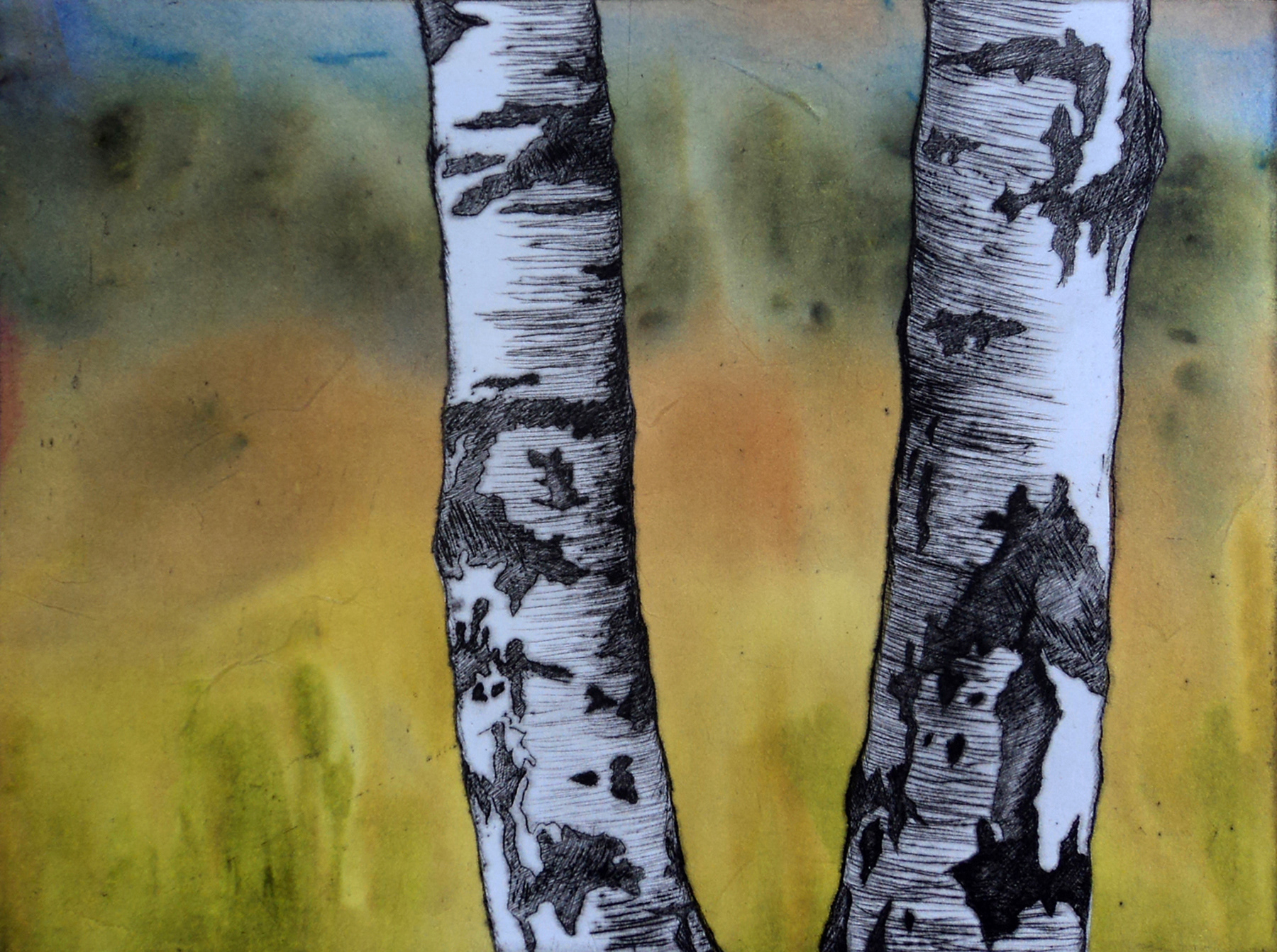 Twin Birch - Sold